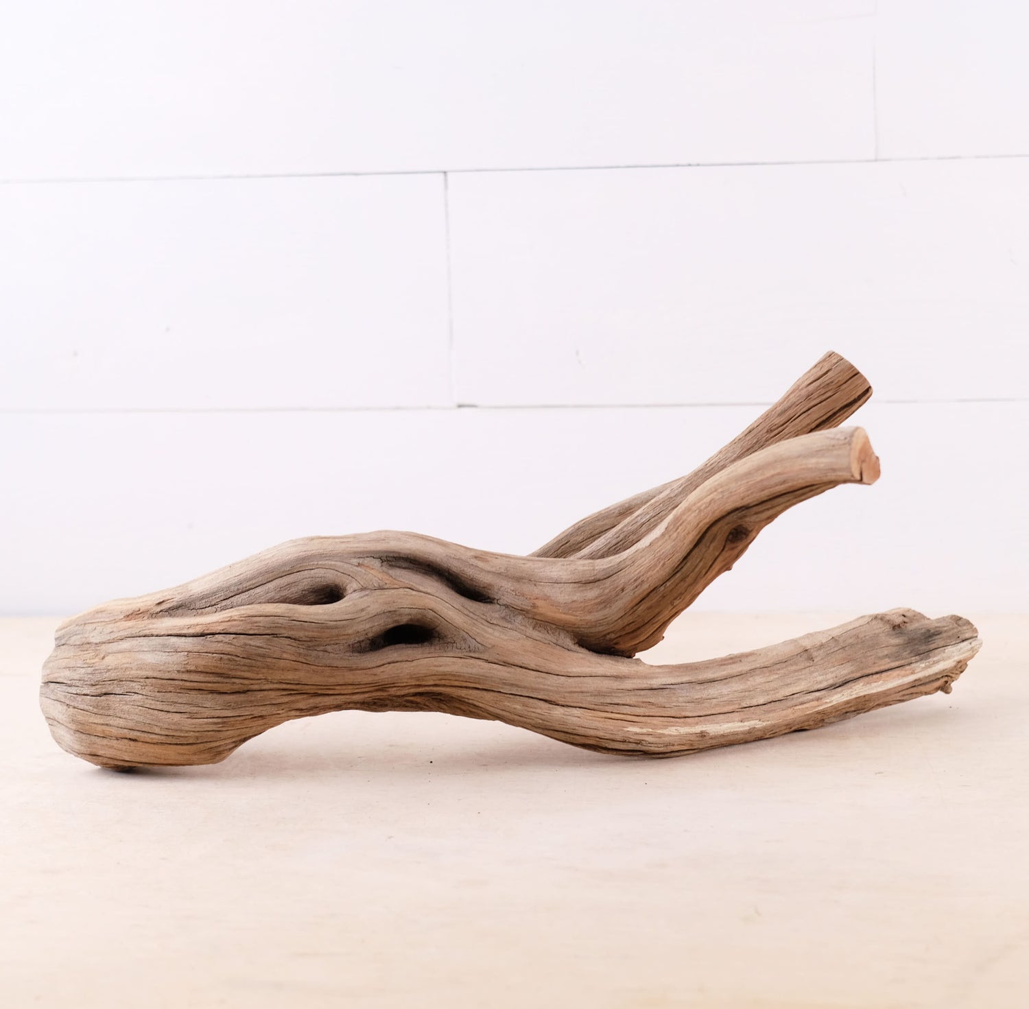 Manzanita 17" Driftwood, Aquarium Aquascape Branch, Natural Fish Tank Decor, Reptile Tank Wood, Terrarium Climb