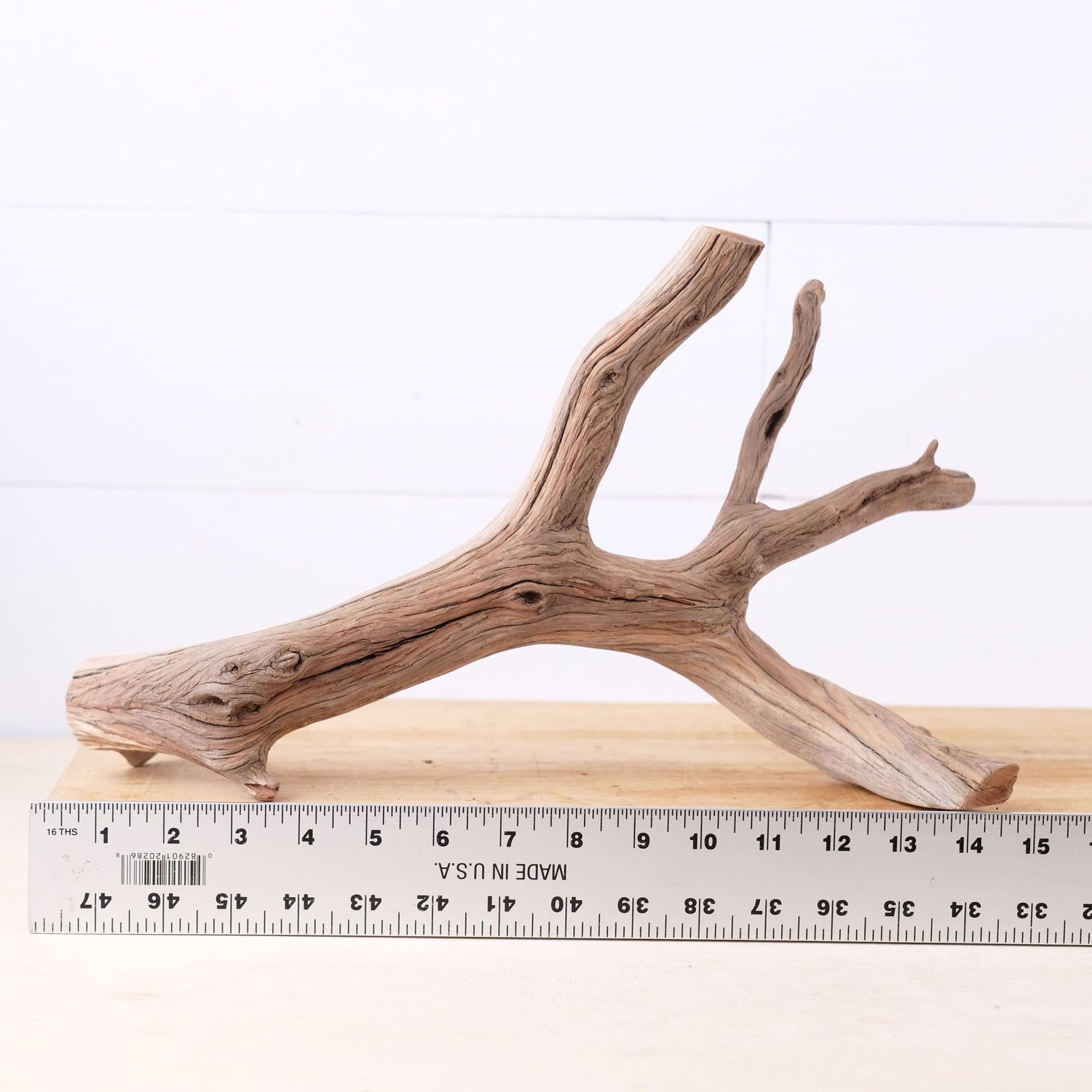 Manzanita 14" Driftwood, Aquarium Aquascape Branch, Natural Fish Tank Decor, Betta Branch, Terrarium Climb