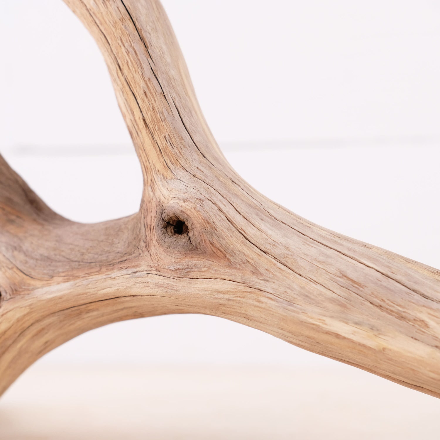 Manzanita 14" Driftwood, Aquarium Aquascape Branch, Natural Fish Tank Decor, Betta Branch, Terrarium Climb