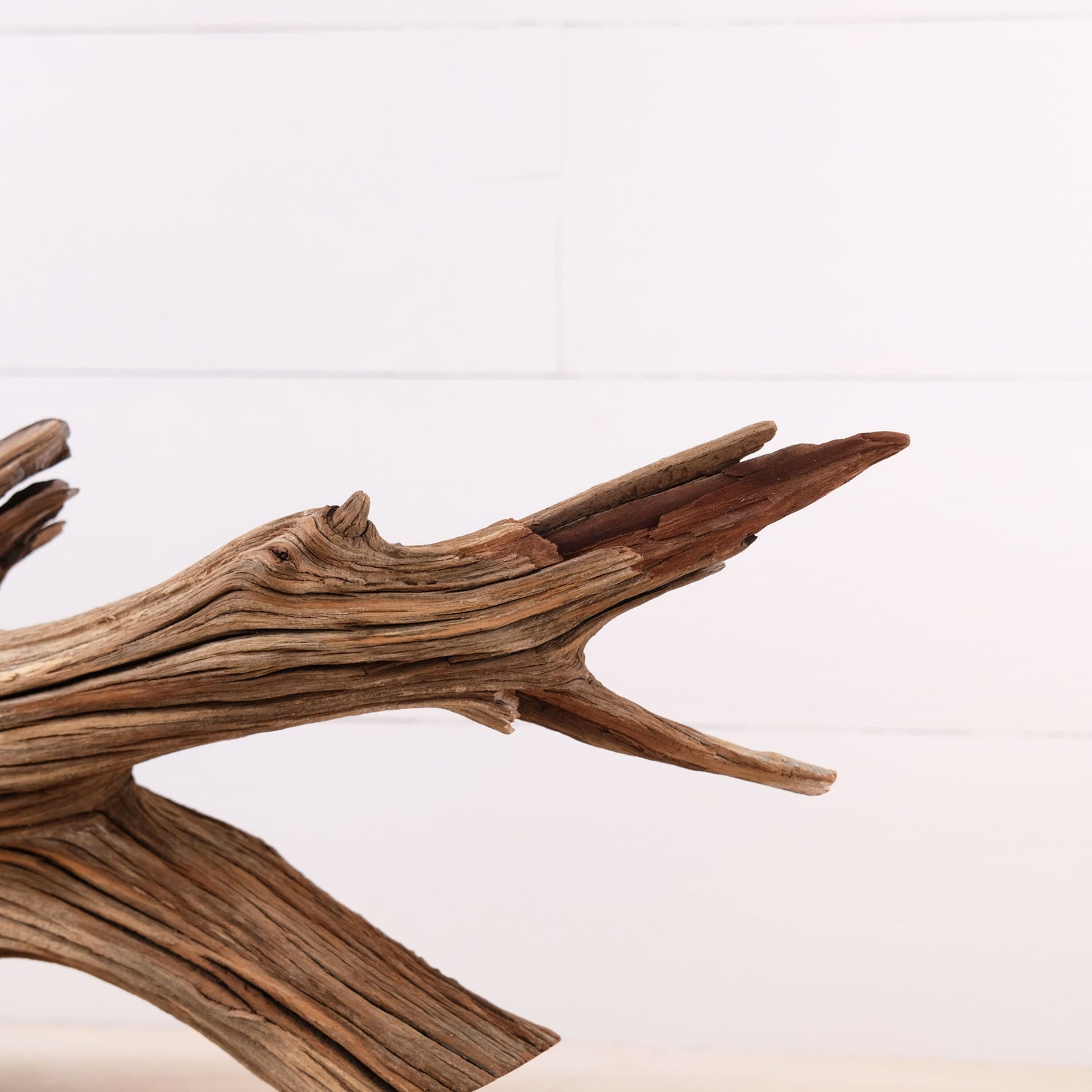 Manzanita 22" Driftwood, Aquarium Aquascape Decor, Natural Fish Tank Wood, Driftwood Shelf Decor, Terrarium Centerpiece