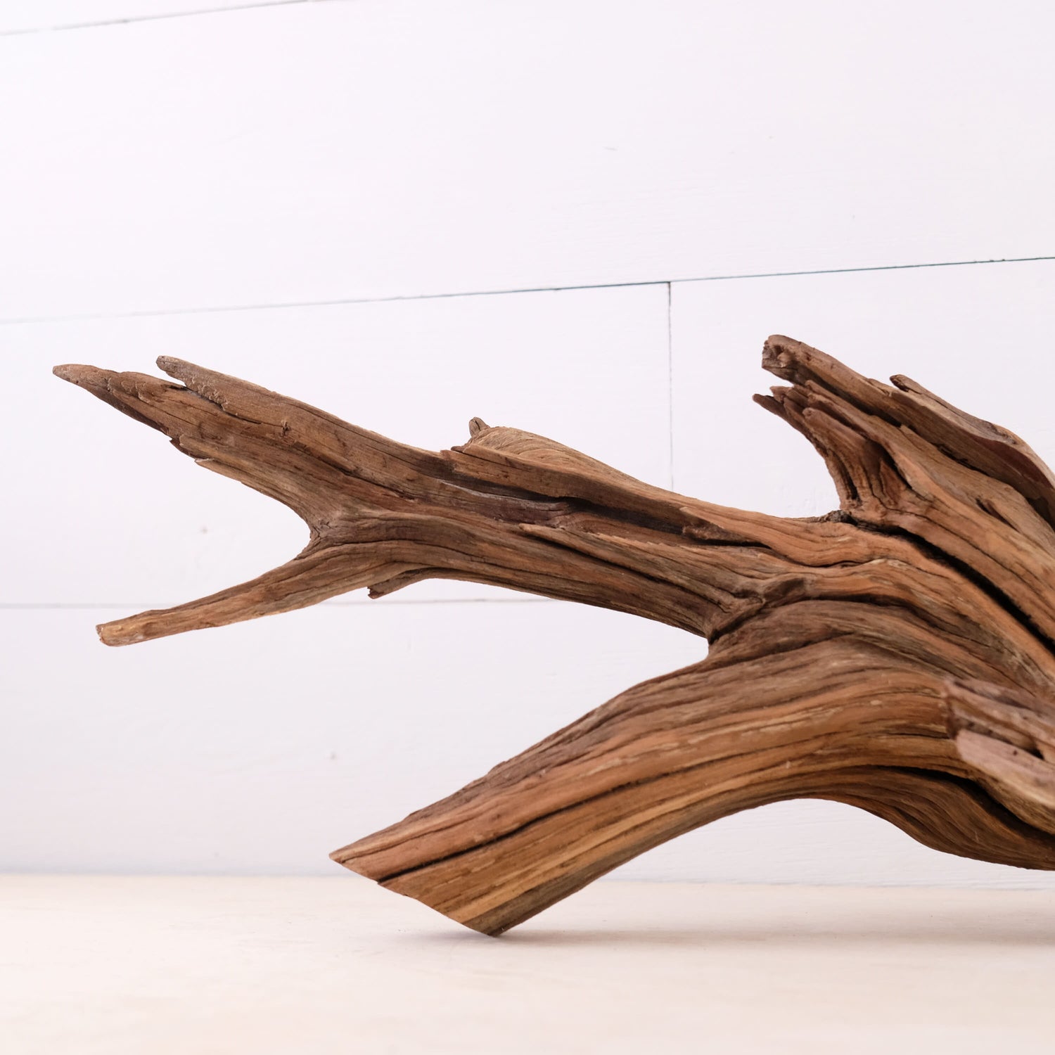 Manzanita 22" Driftwood, Aquarium Aquascape Decor, Natural Fish Tank Wood, Driftwood Shelf Decor, Terrarium Centerpiece