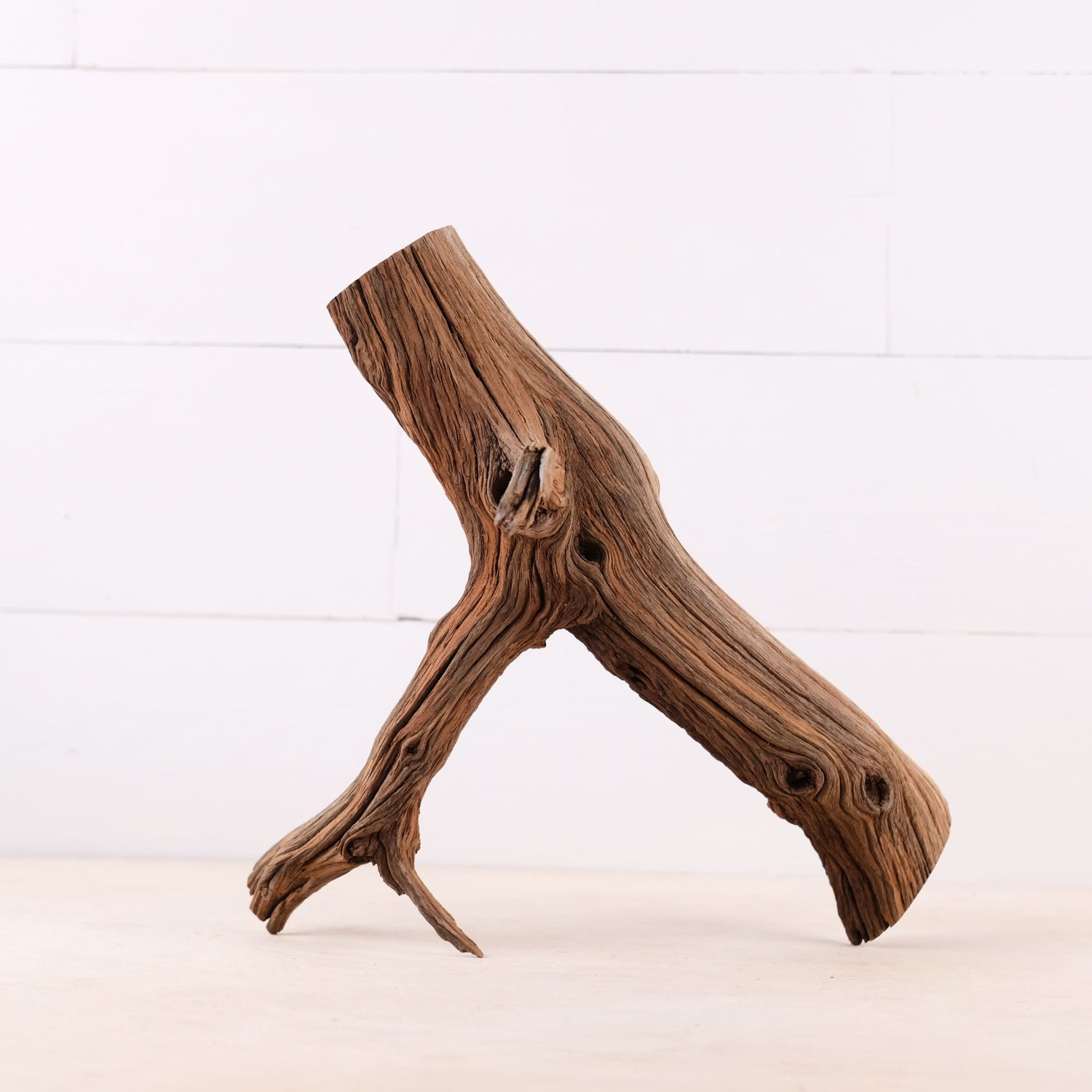Manzanita 13" Driftwood Branch, Natural Aquarium Wood, Small Aquascape Branch, Nano Fish Tank Decor, Betta Branch
