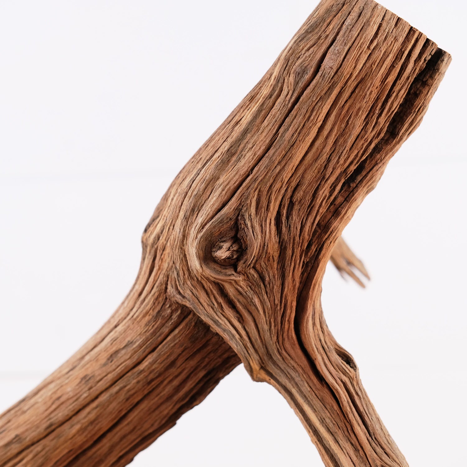 Manzanita 13" Driftwood Branch, Natural Aquarium Wood, Small Aquascape Branch, Nano Fish Tank Decor, Betta Branch