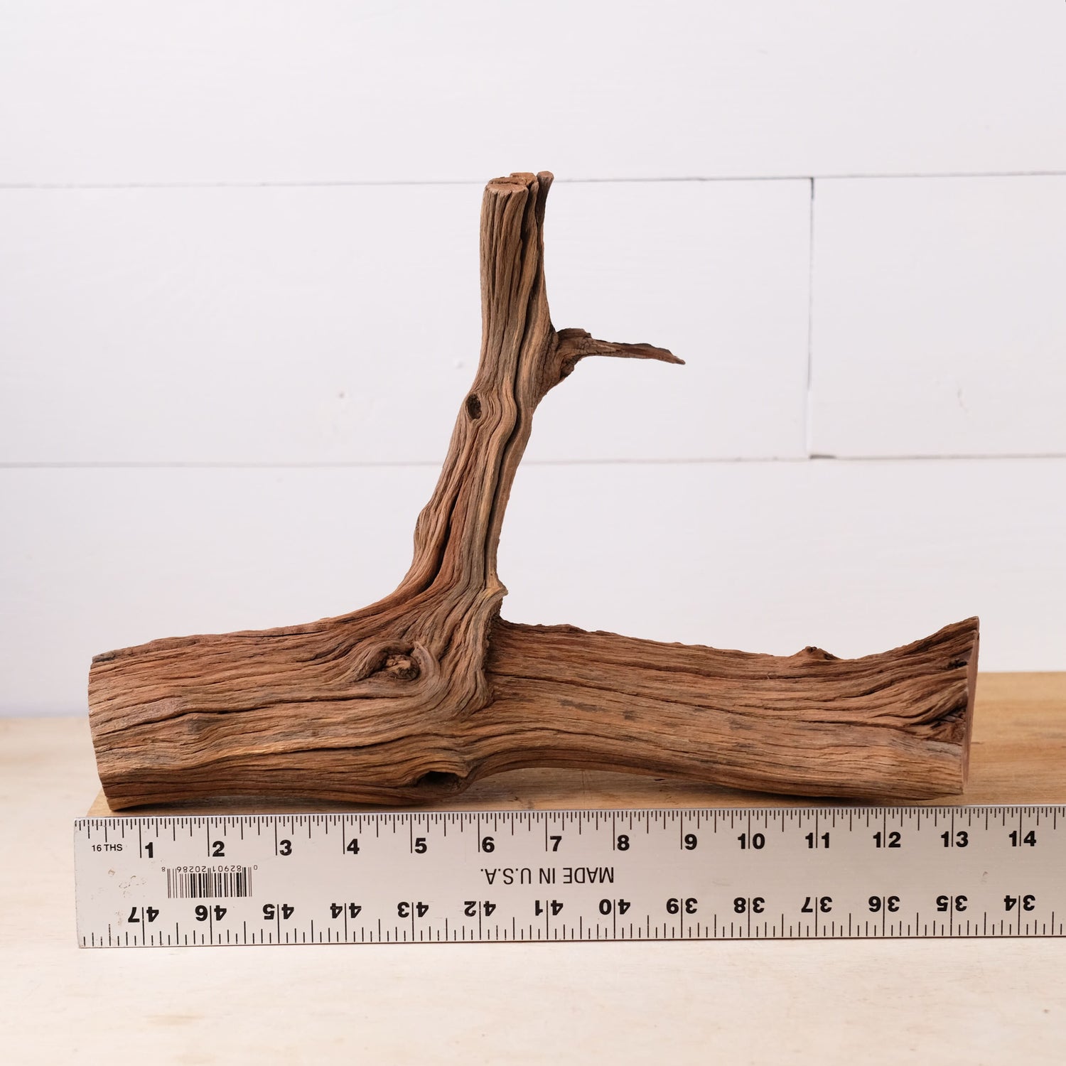 Manzanita 13" Driftwood Branch, Natural Aquarium Wood, Small Aquascape Branch, Nano Fish Tank Decor, Betta Branch