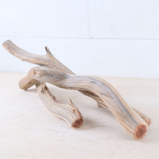 Manzanita 13-20" Driftwood (Set of 3), Terrarium Branches, Reptile Vivarium Wood, Sturdy Craft Sticks