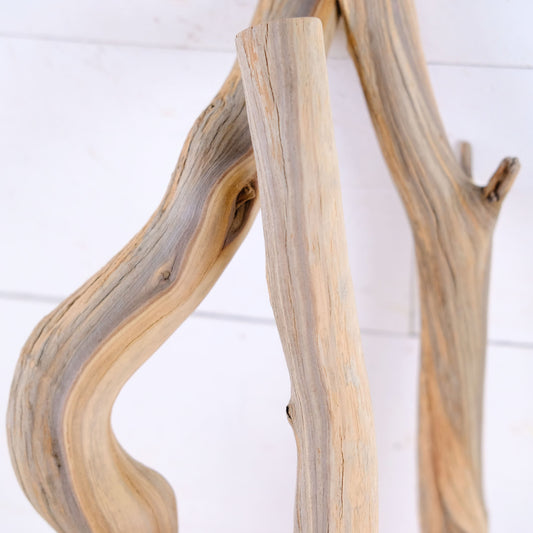 Manzanita 13-20" Driftwood (Set of 3), Terrarium Branches, Reptile Vivarium Wood, Sturdy Craft Sticks