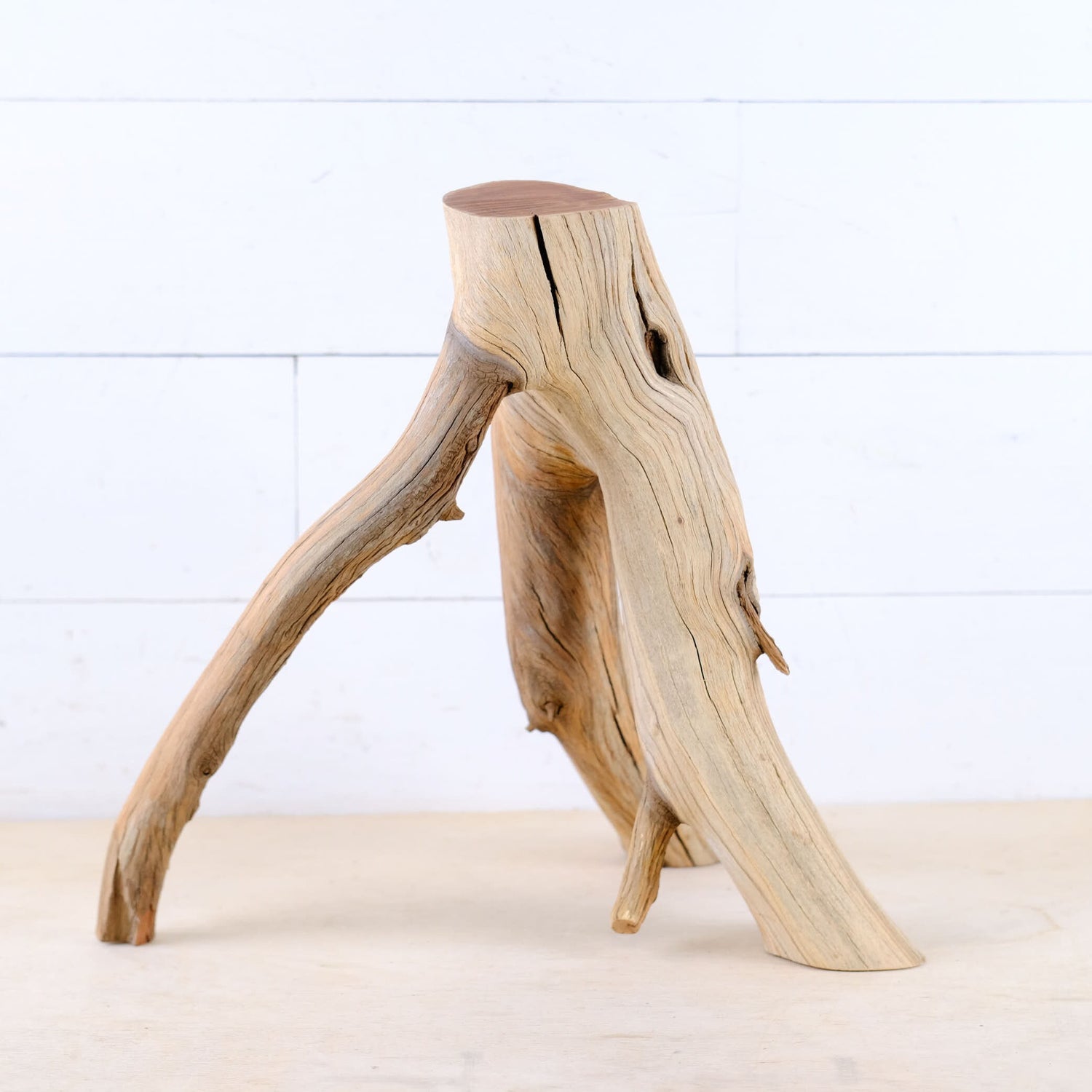 Manzanita 15" Driftwood Branch, Small Aquarium Aquascape Decor, Natural Fish Tank Wood, Nanoscape Branch