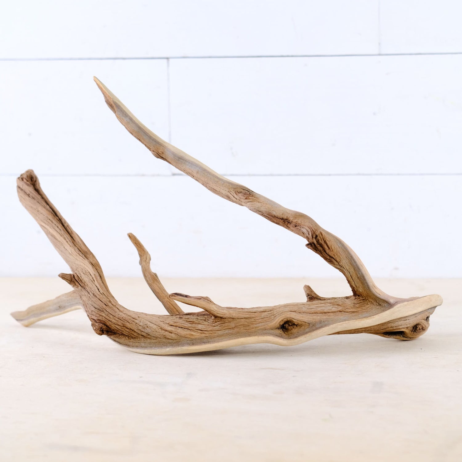 Manzanita 16" Branch, Large Aquascape Driftwood, Aquarium Wood Centerpiece, Natural Fish Tank Decor, Reptile Vivarium Branch