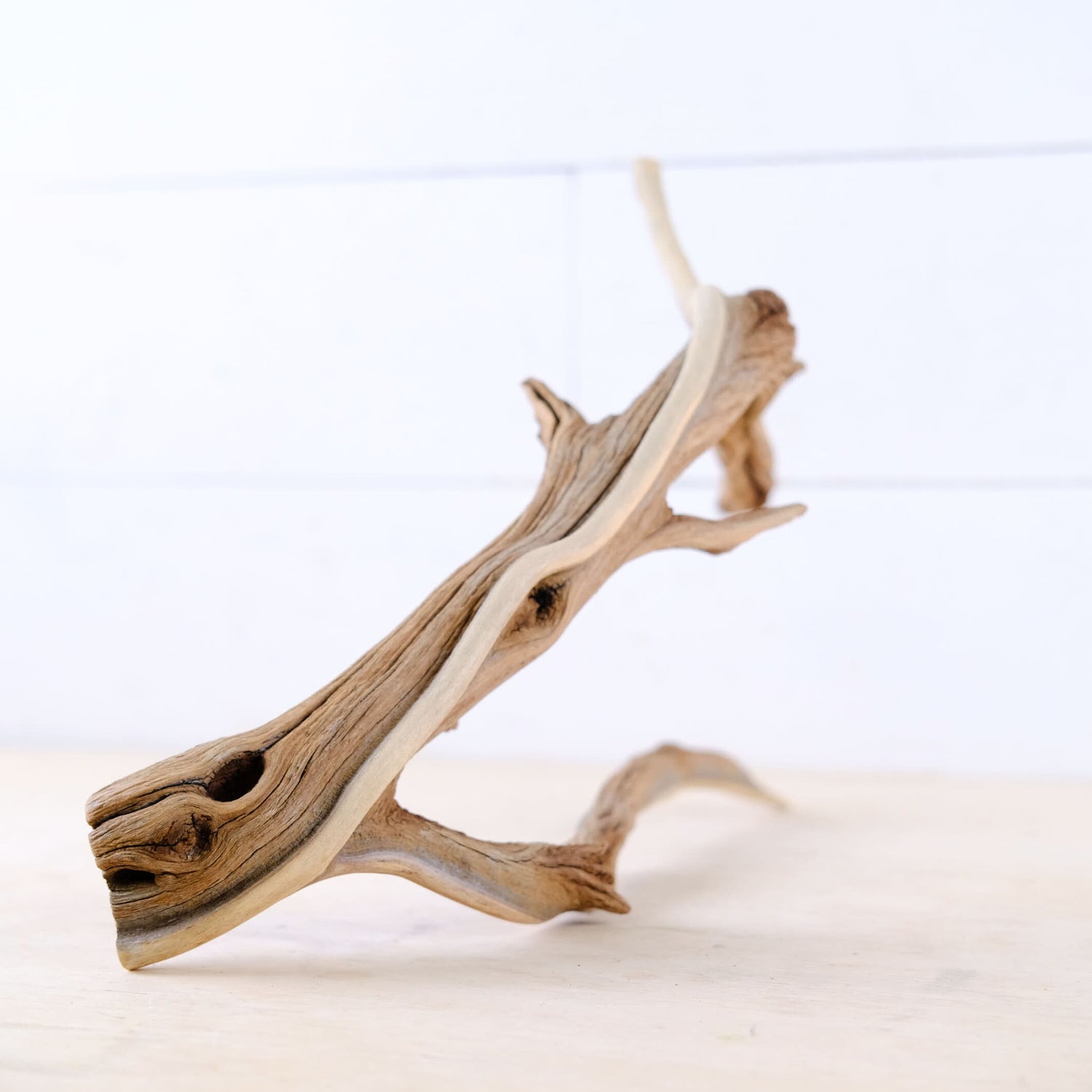 Manzanita 16" Branch, Large Aquascape Driftwood, Aquarium Wood Centerpiece, Natural Fish Tank Decor, Reptile Vivarium Branch