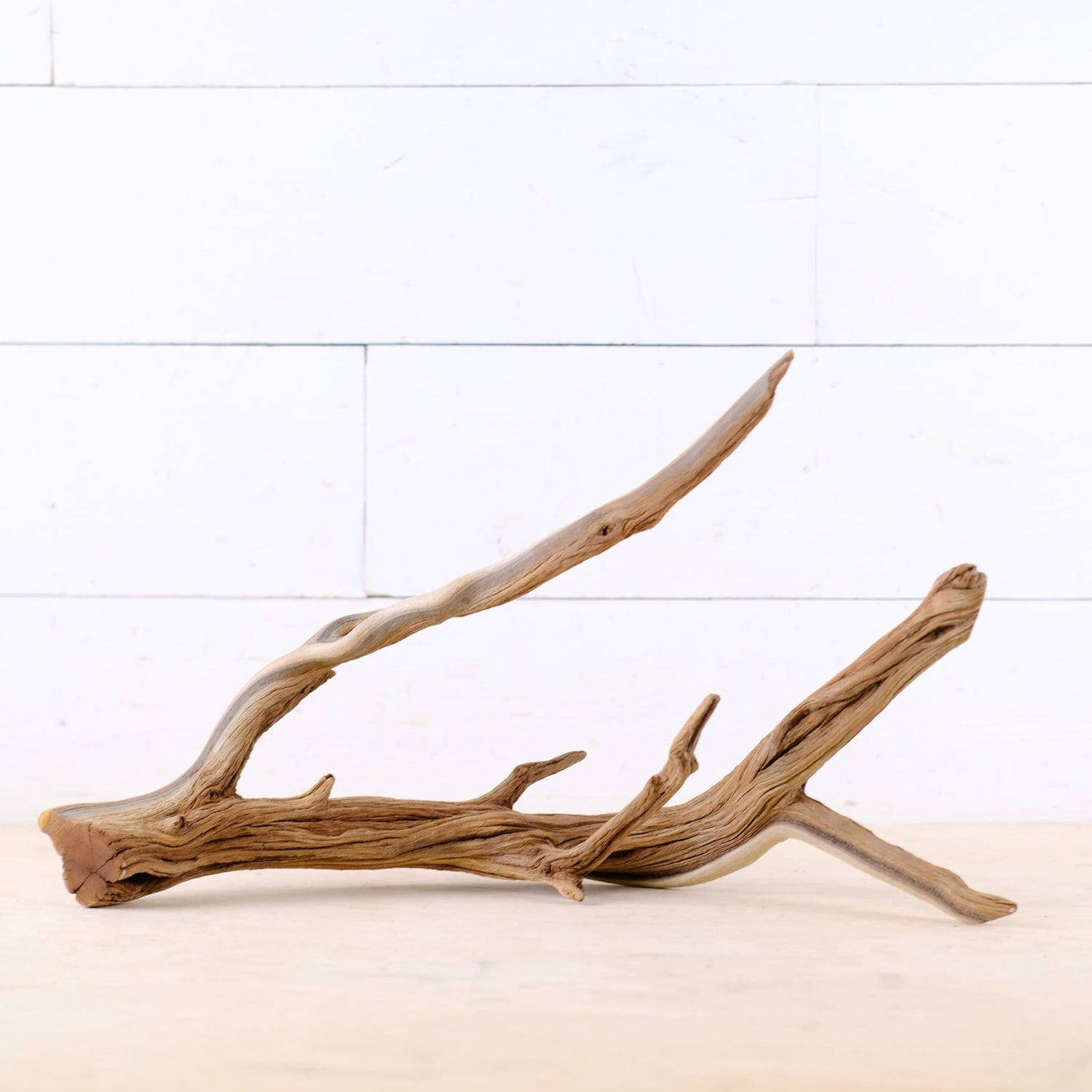 Manzanita 16" Branch, Large Aquascape Driftwood, Aquarium Wood Centerpiece, Natural Fish Tank Decor, Reptile Vivarium Branch