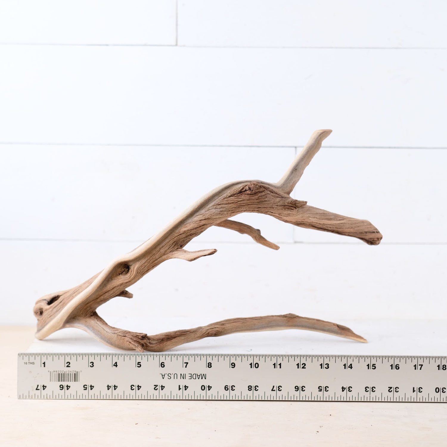 Manzanita 16" Branch, Large Aquascape Driftwood, Aquarium Wood Centerpiece, Natural Fish Tank Decor, Reptile Vivarium Branch