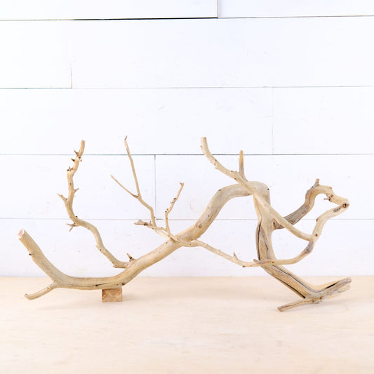 Manzanita 25" Branch, Aquascape Driftwood, Aquarium Wood Centerpiece, Natural Fish Tank Decor, Natural Decor Branch