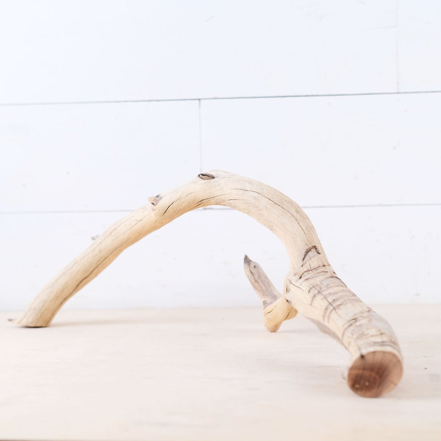 Manzanita 18-22" Branches (Set of 2), Reptile Vivarium Driftwood, Natural Terrarium Wood, Aquarium Decor, Fish Tank Branch, Boa Driftwood