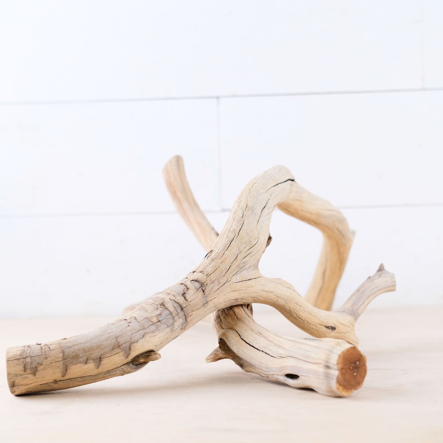 Manzanita 18-22" Branches (Set of 2), Reptile Vivarium Driftwood, Natural Terrarium Wood, Aquarium Decor, Fish Tank Branch, Boa Driftwood