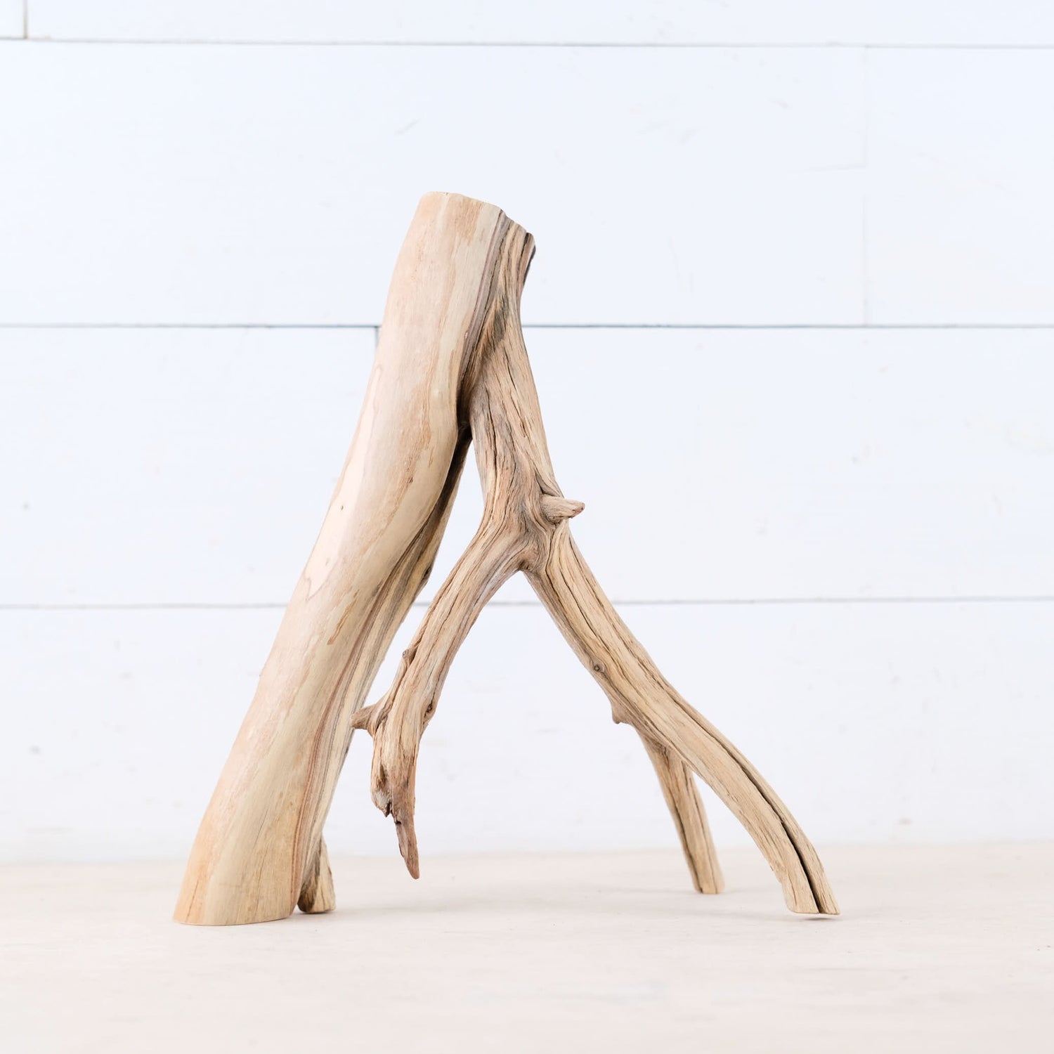 Manzanita 11" Branch, Aquascape Driftwood, Small Aquarium Wood, Natural Fish Tank Decor