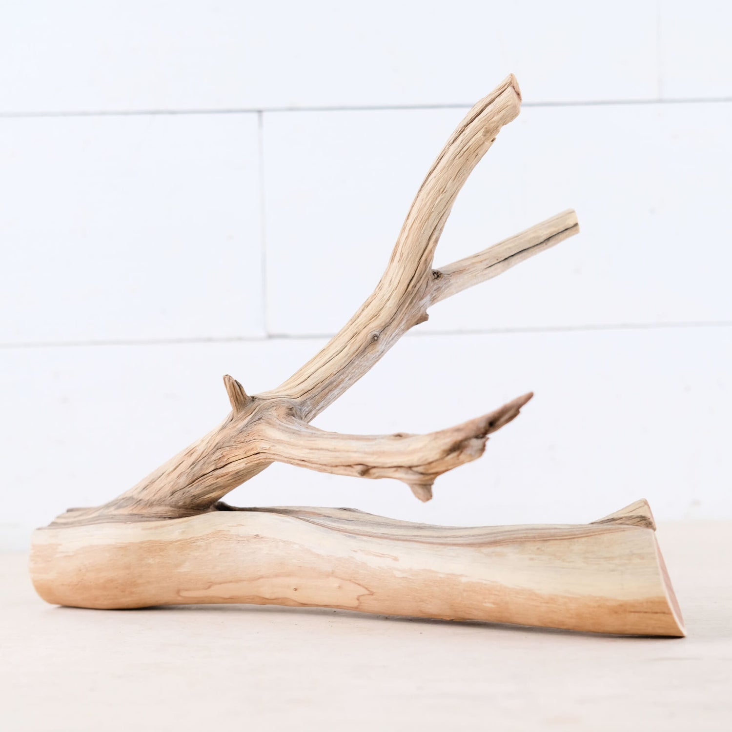 Manzanita 11" Branch, Aquascape Driftwood, Small Aquarium Wood, Natural Fish Tank Decor