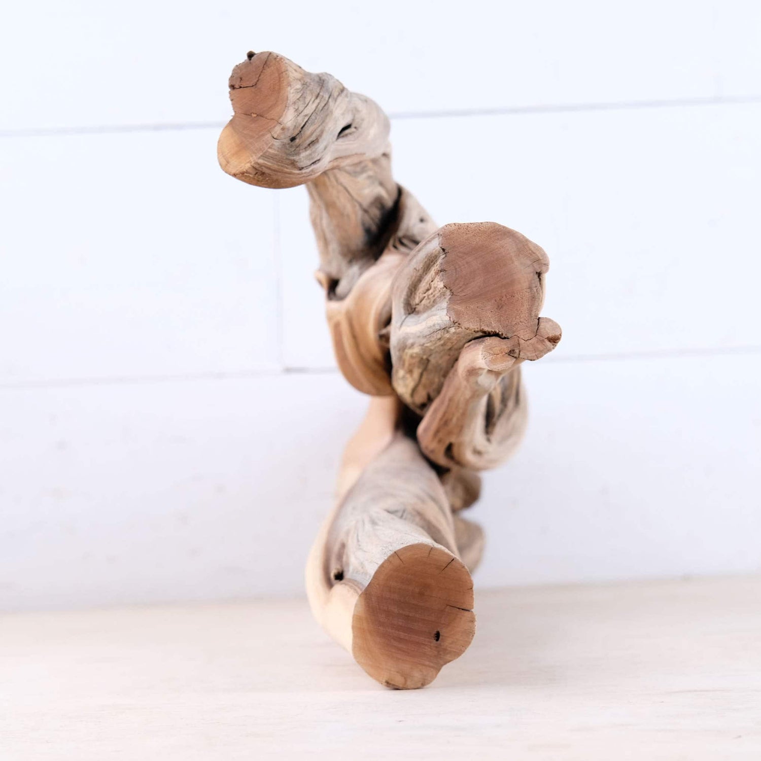 Manzanita 16" Driftwood, Aquarium Branch, Aquascape Decor, Vivarium Perch, Natural Fish Tank Decor, Reptile Terrarium Wood