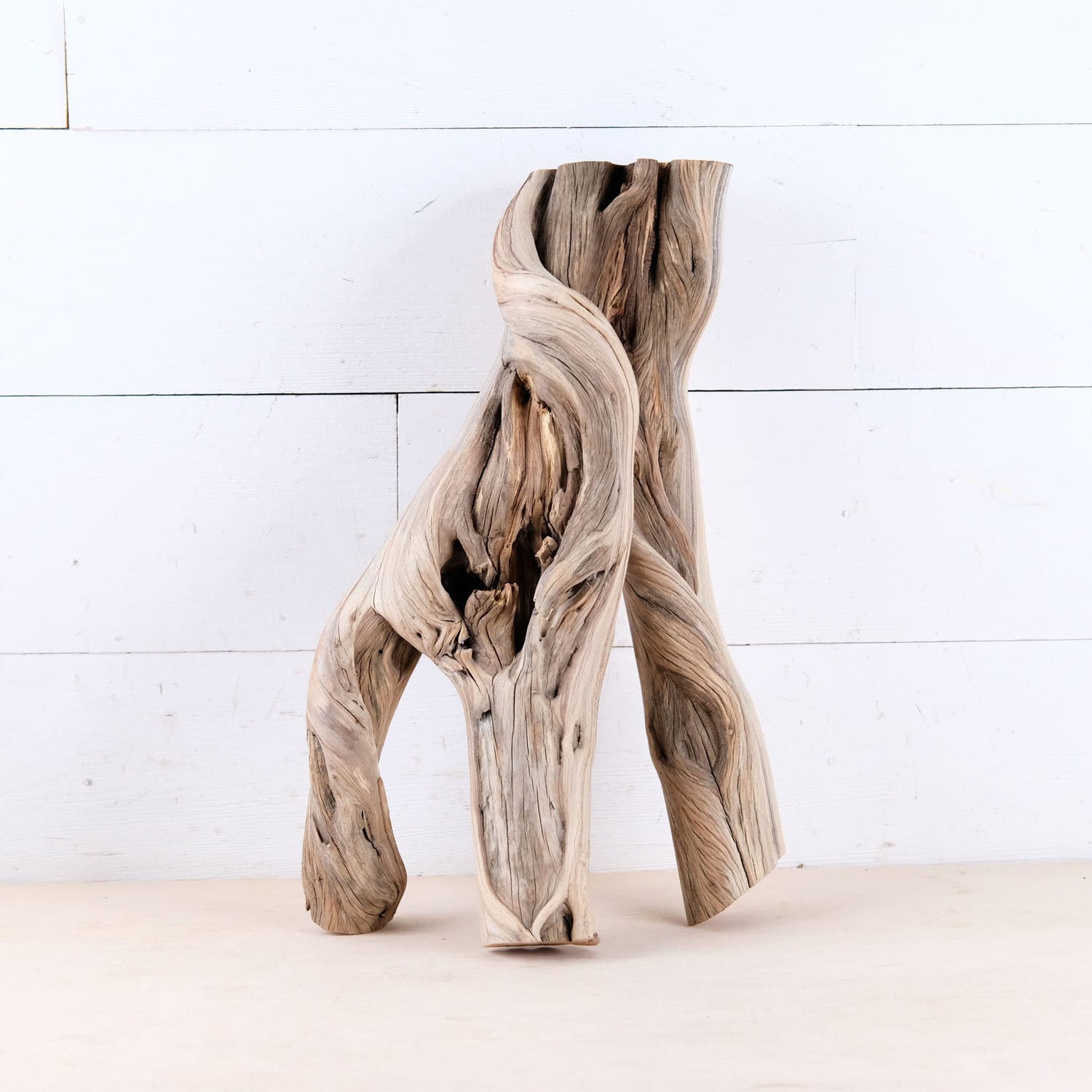 Manzanita 16" Driftwood, Aquarium Branch, Aquascape Decor, Vivarium Perch, Natural Fish Tank Decor, Reptile Terrarium Wood