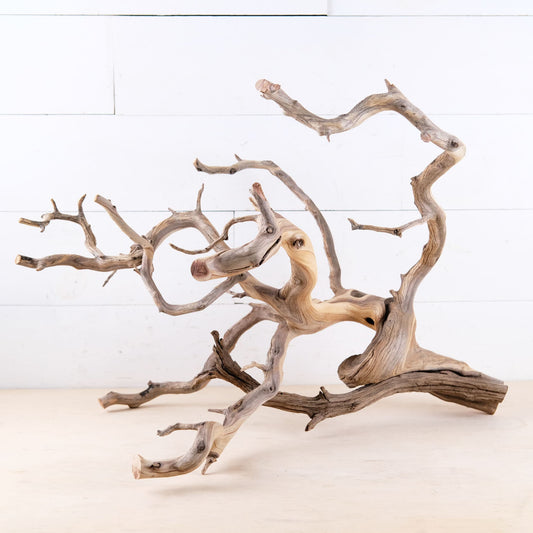 23" Manzanita Branch, Large Aquarium Wood, Aquascape Driftwood Centerpiece, Driftwood Wall Decor