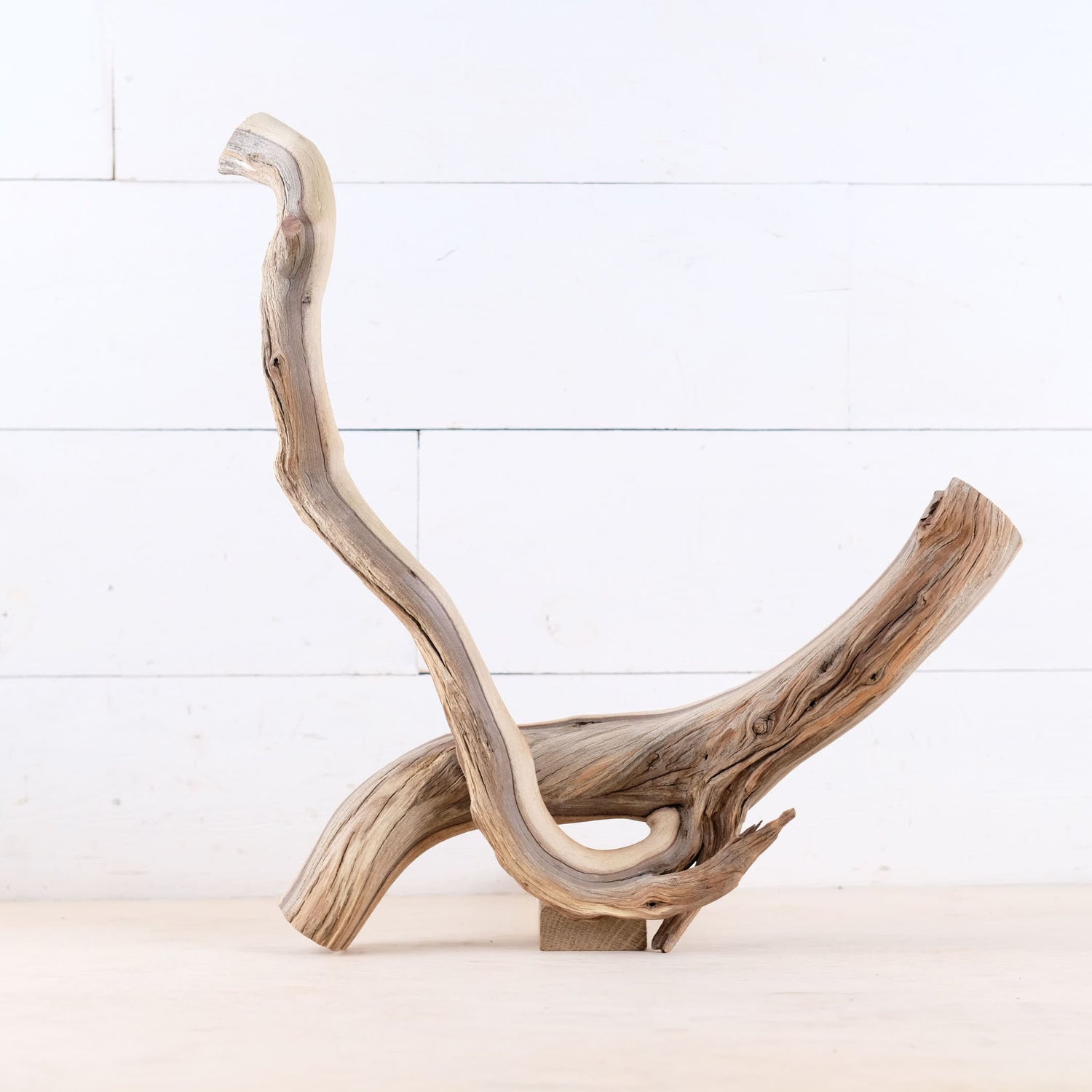 Manzanita 16" Driftwood, Aquarium Driftwood, Small Aquascape Decor, Natural Fish Tank Decor, Nanoscape Wood