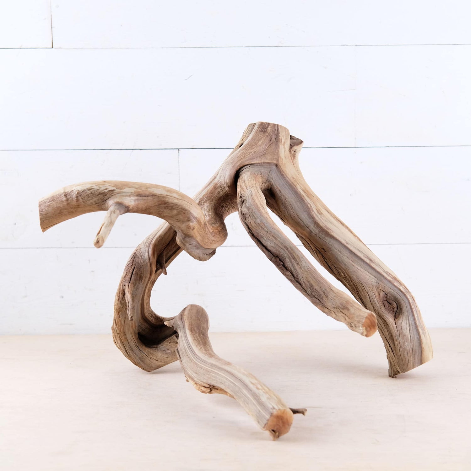Manzanita 16" Branch, Natural Aquarium Driftwood, Aquascape Wood, Fish Tank Decor, Terrarium Enrichment