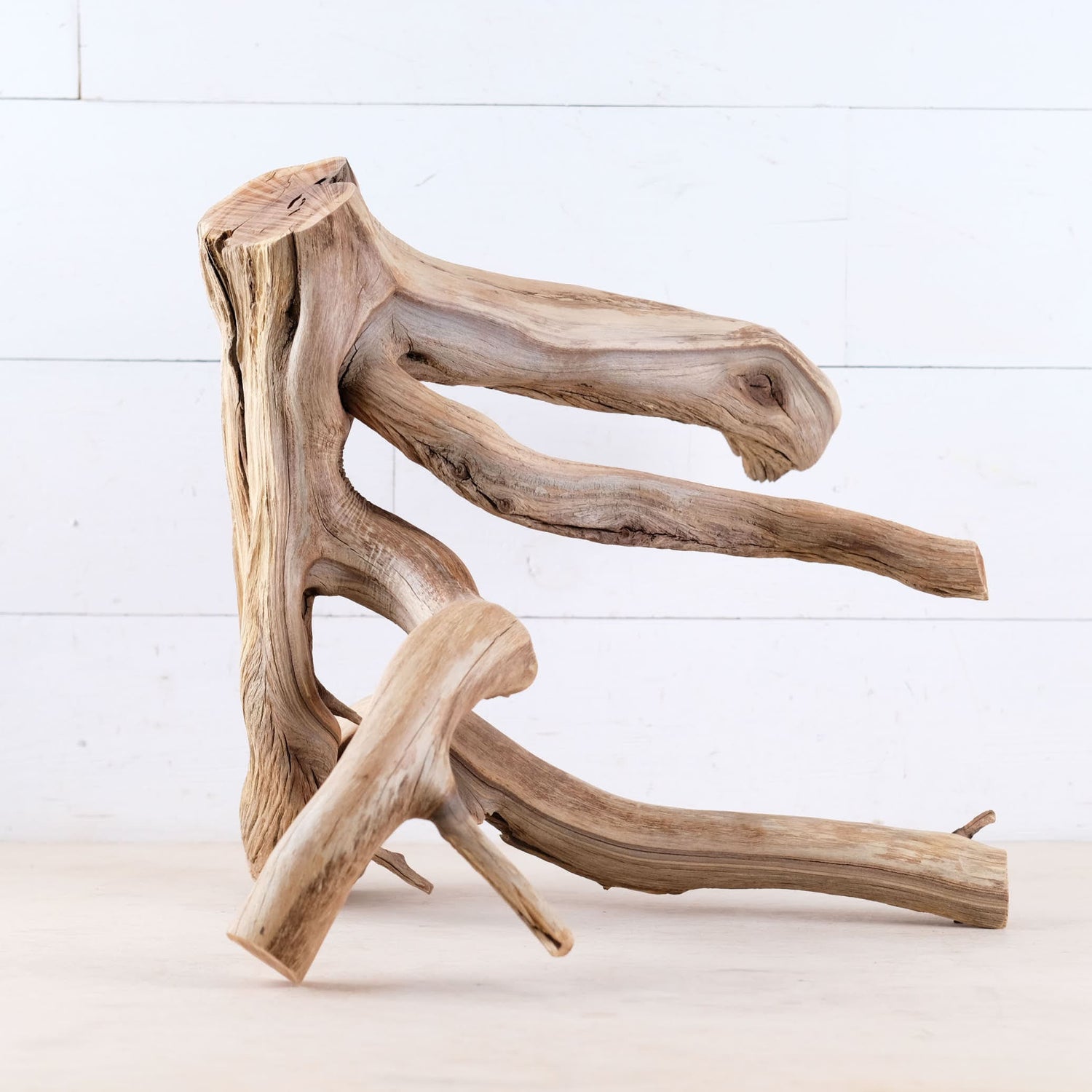 Manzanita 16" Branch, Natural Aquarium Driftwood, Aquascape Wood, Fish Tank Decor, Terrarium Enrichment