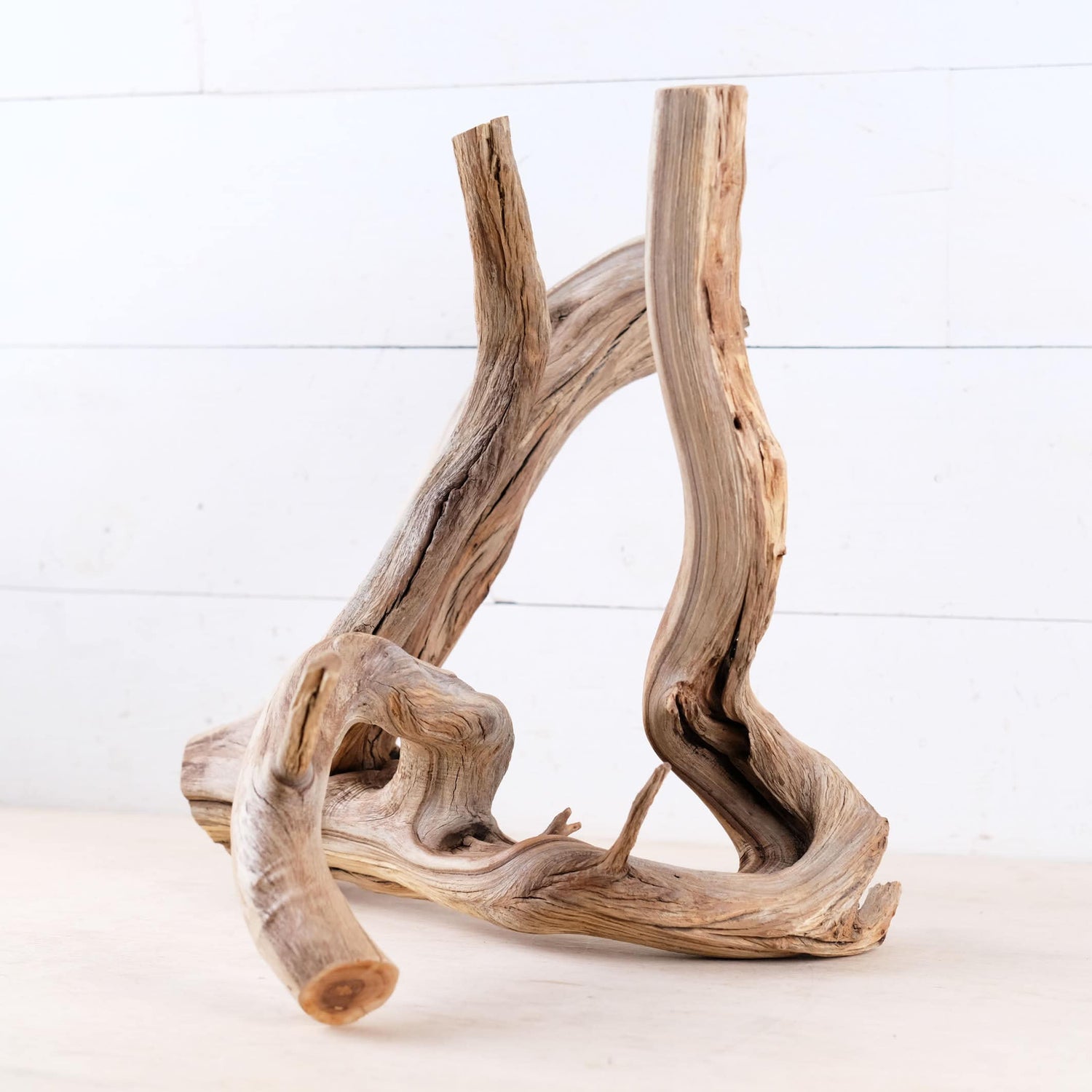 Manzanita 16" Branch, Natural Aquarium Driftwood, Aquascape Wood, Fish Tank Decor, Terrarium Enrichment