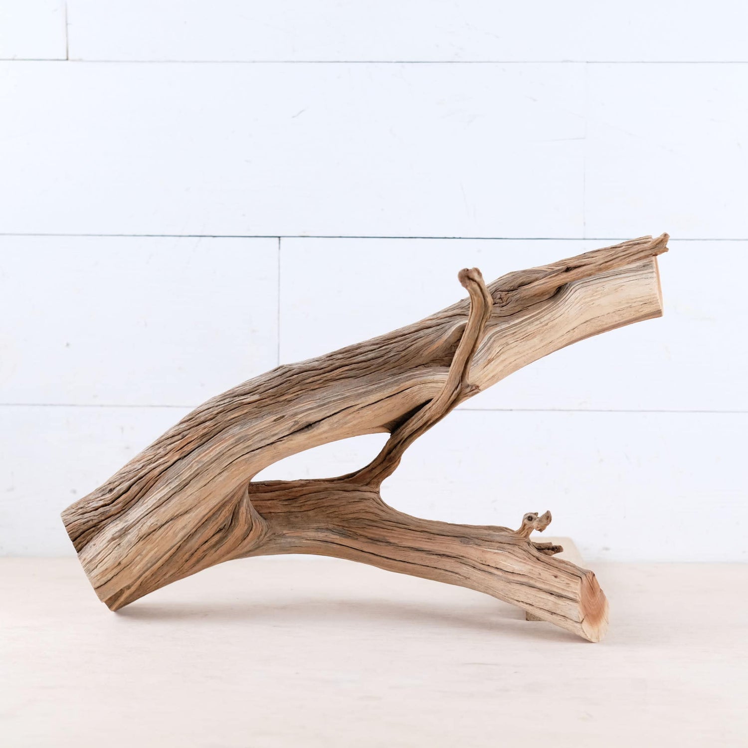 Manzanita 15" Branch, Aquascape Driftwood, Aquarium Wood Centerpiece, Terrarium Tank Decor, Real Shrimp Tank Wood