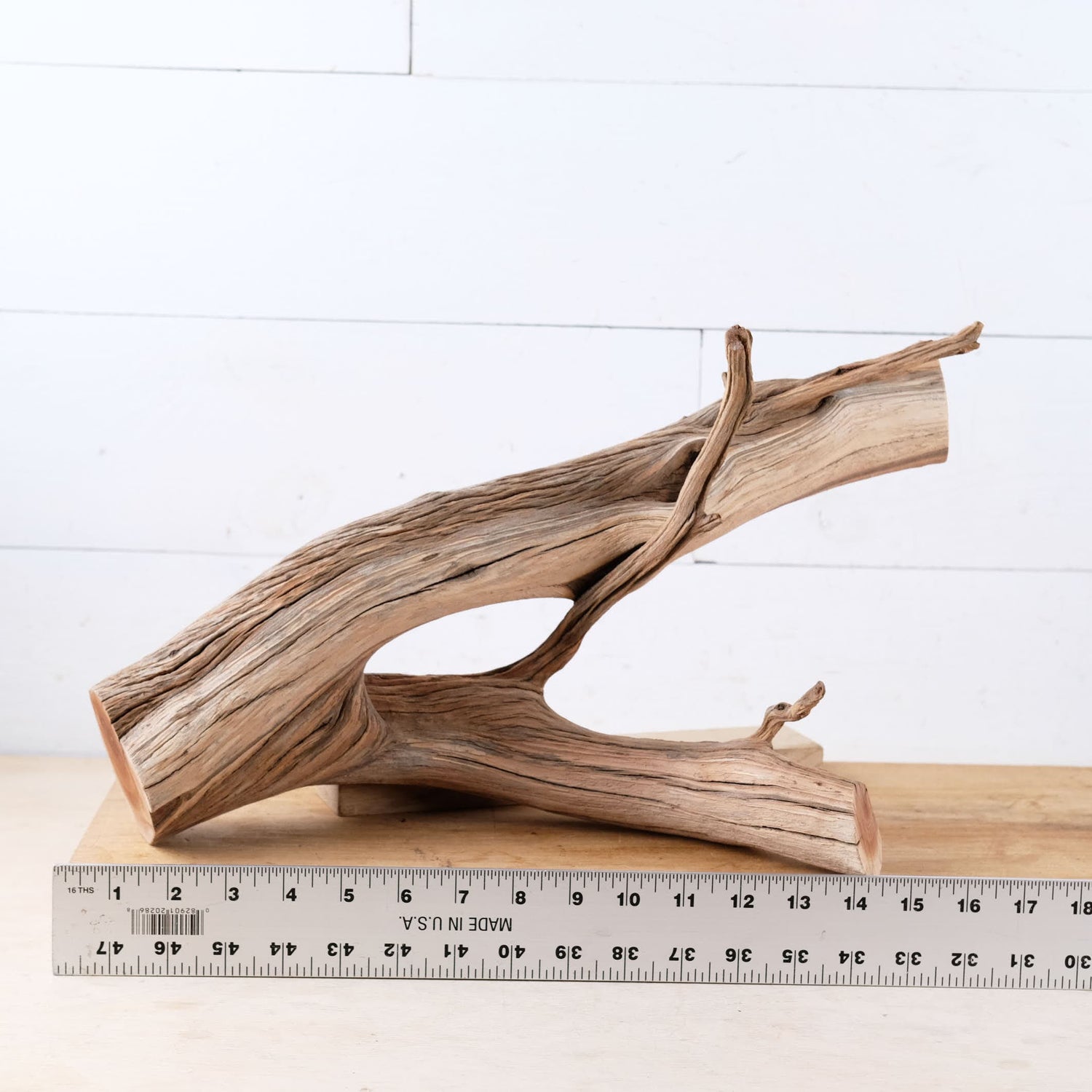 Manzanita 15" Branch, Aquascape Driftwood, Aquarium Wood Centerpiece, Terrarium Tank Decor, Real Shrimp Tank Wood