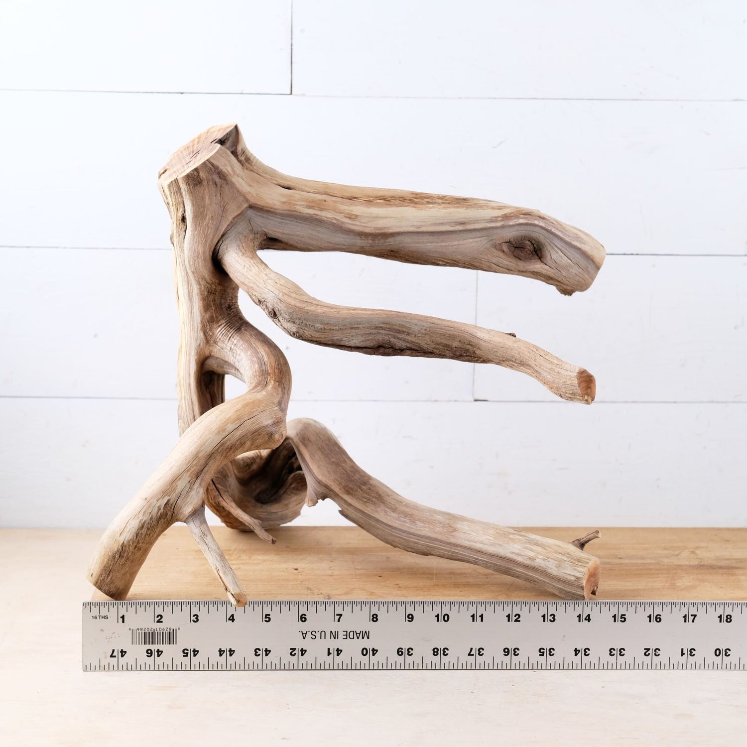 Manzanita 16" Branch, Natural Aquarium Driftwood, Aquascape Wood, Fish Tank Decor, Terrarium Enrichment