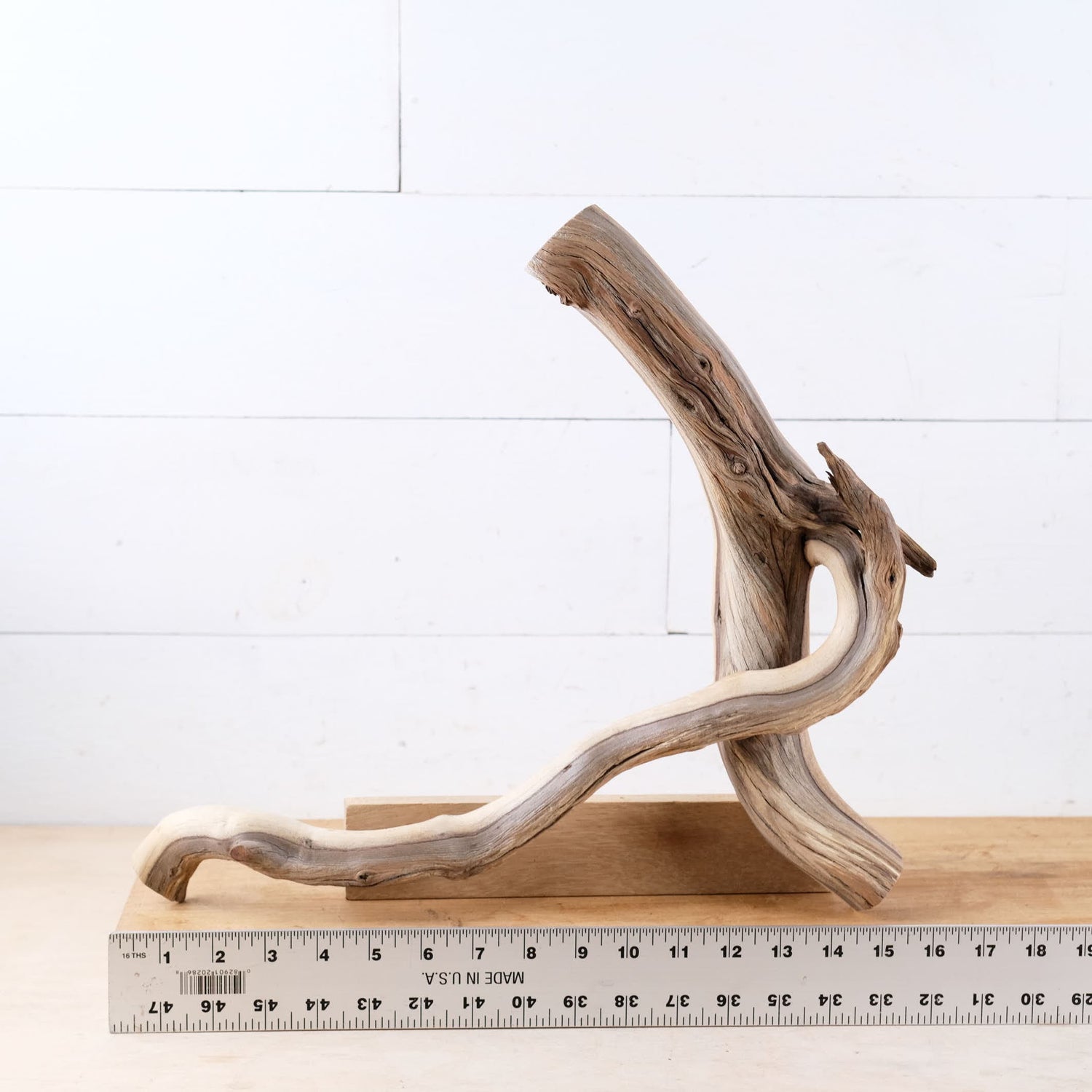 Manzanita 16" Driftwood, Aquarium Driftwood, Small Aquascape Decor, Natural Fish Tank Decor, Nanoscape Wood