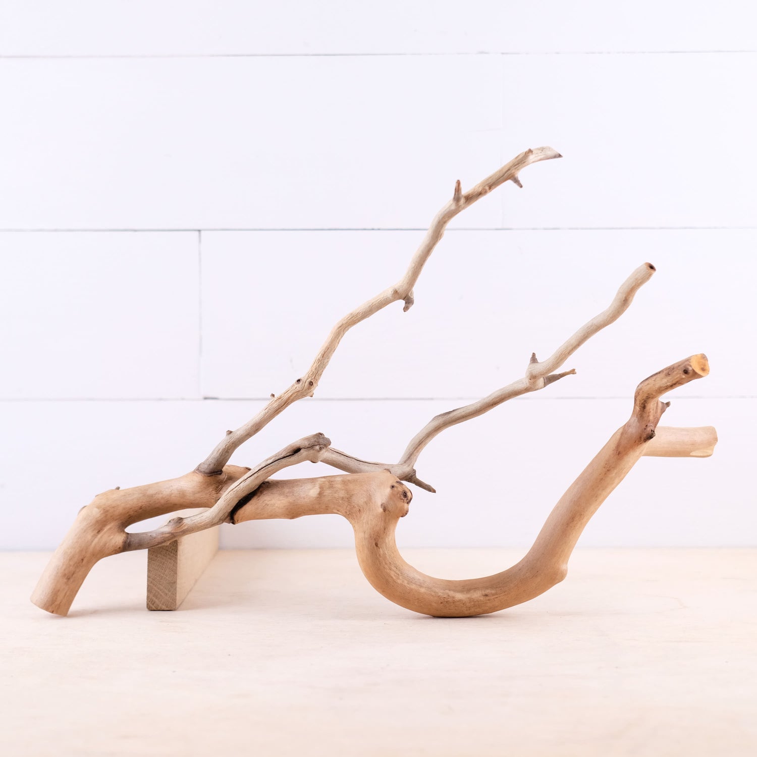 Manzanita 18" Driftwood Branch, Natural Aquarium Decor, Fish Tank Aquascape Wood, Frog Terrarium Climb
