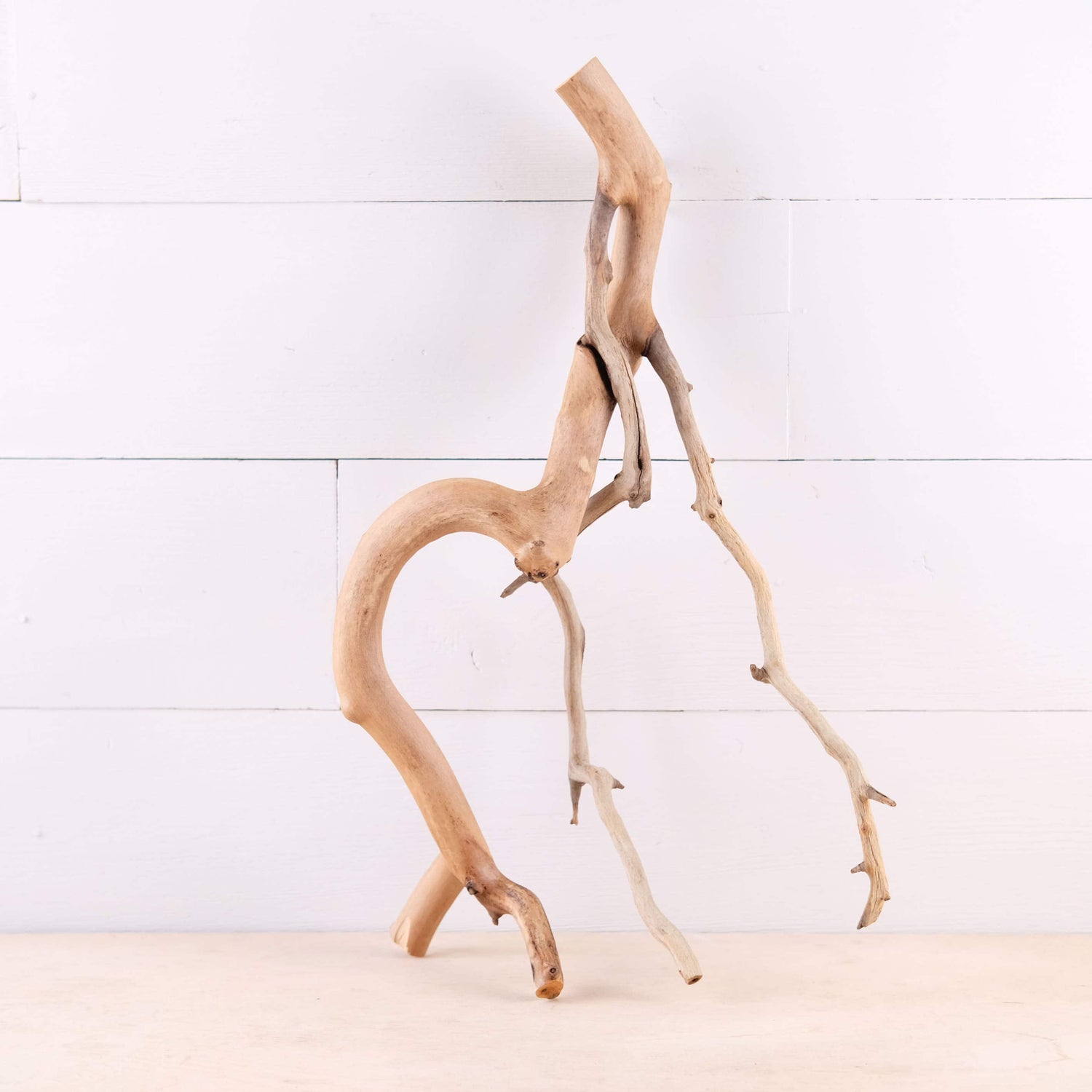 Manzanita 18" Driftwood Branch, Natural Aquarium Decor, Fish Tank Aquascape Wood, Frog Terrarium Climb