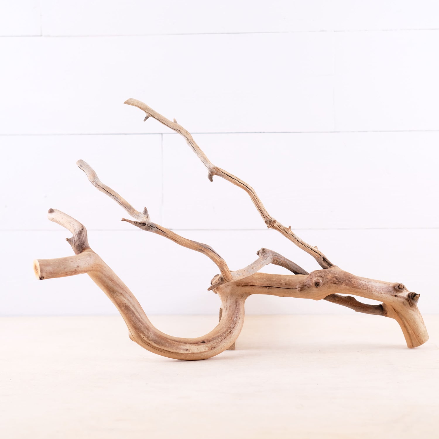 Manzanita 18" Driftwood Branch, Natural Aquarium Decor, Fish Tank Aquascape Wood, Frog Terrarium Climb