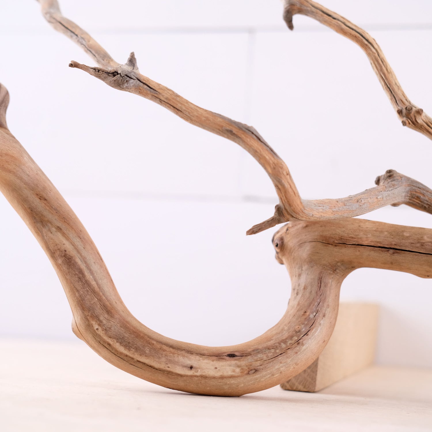 Manzanita 18" Driftwood Branch, Natural Aquarium Decor, Fish Tank Aquascape Wood, Frog Terrarium Climb