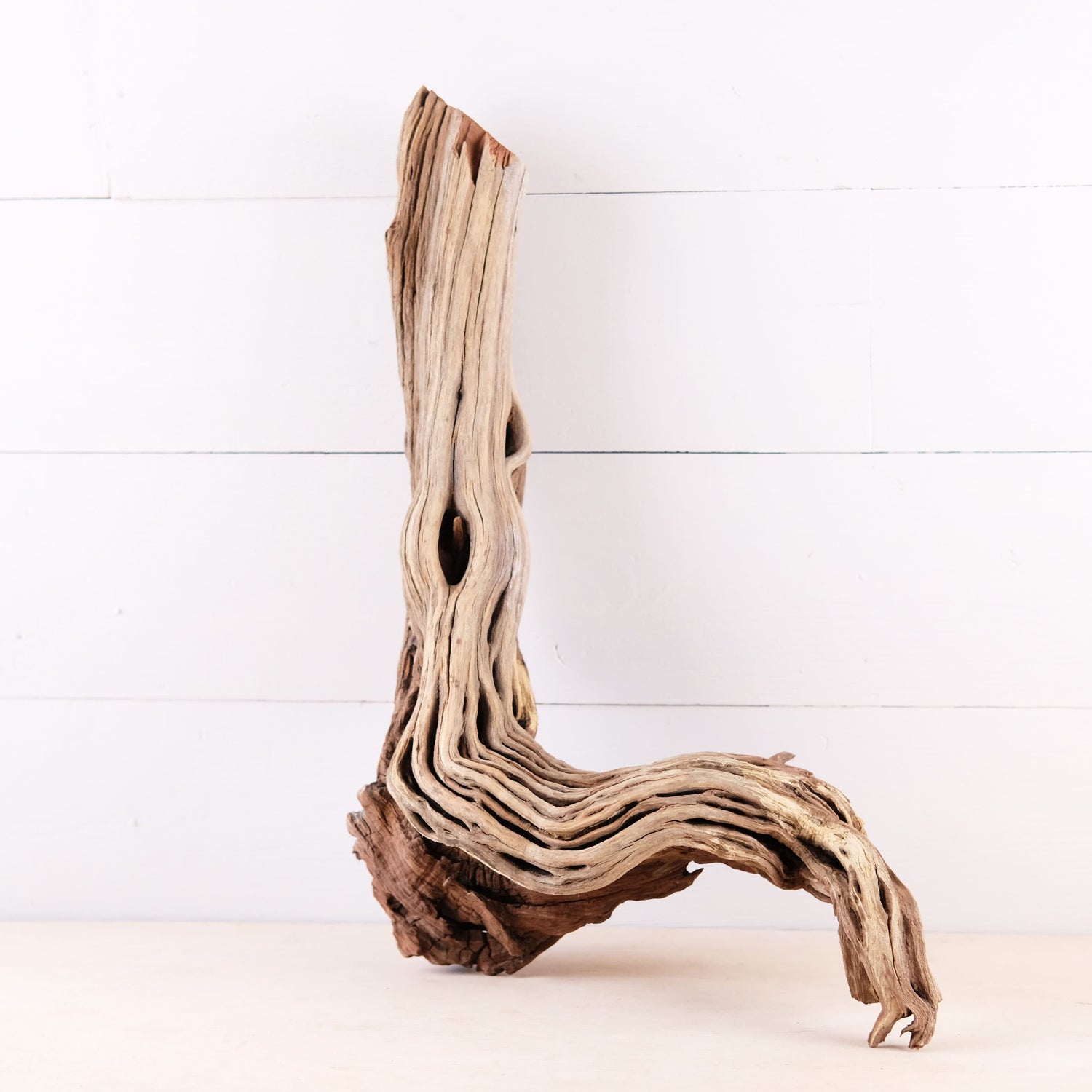 Manzanita 17" Driftwood, Aquarium Aquascape Decor, Natural Fish Tank Wood, Driftwood Root, Terrarium Centerpiece