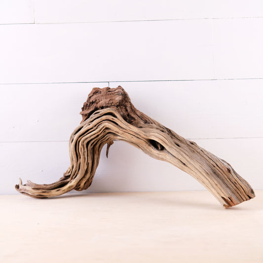 Manzanita 17" Driftwood, Aquarium Aquascape Decor, Natural Fish Tank Wood, Driftwood Root, Terrarium Centerpiece
