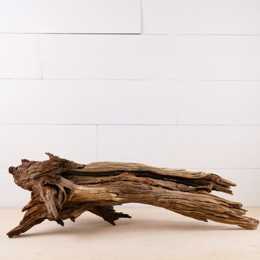 Manzanita 26" Driftwood, Aquarium Aquascape Decor, Natural Fish Tank Wood, Terrarium Centerpiece