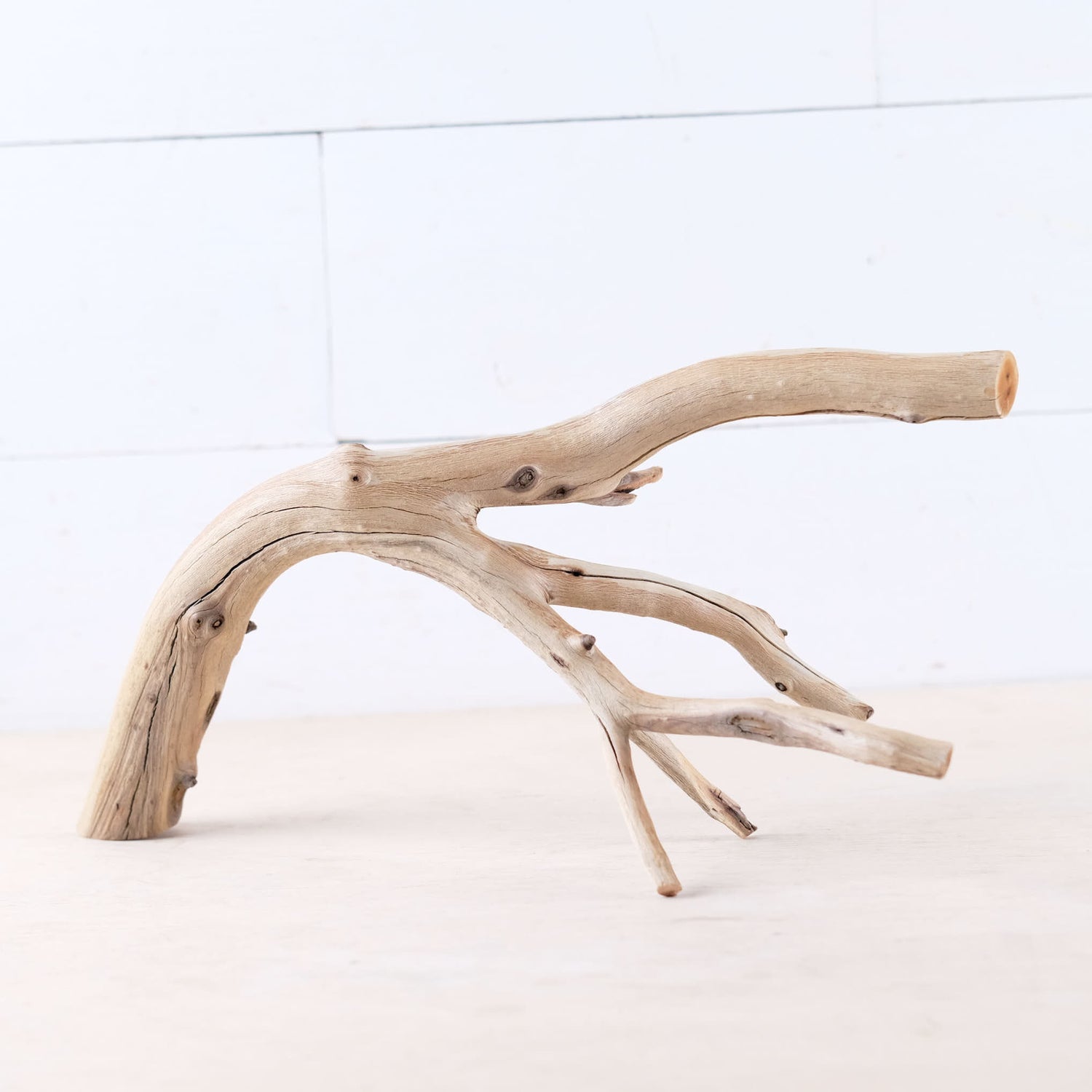 Manzanita 13" Branch, Aquascape Driftwood, Aquarium Wood Centerpiece, Natural Fish Tank Decor, Small Vivarium Branch
