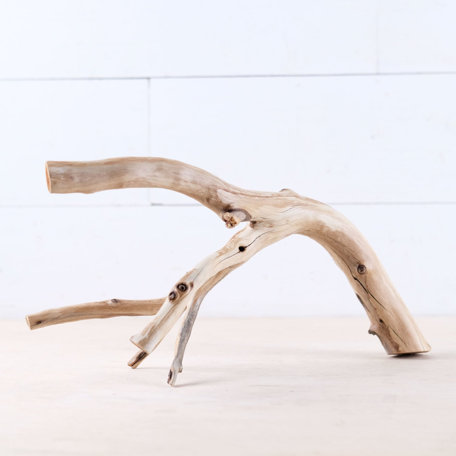 Manzanita 13" Branch, Aquascape Driftwood, Aquarium Wood Centerpiece, Natural Fish Tank Decor, Small Vivarium Branch