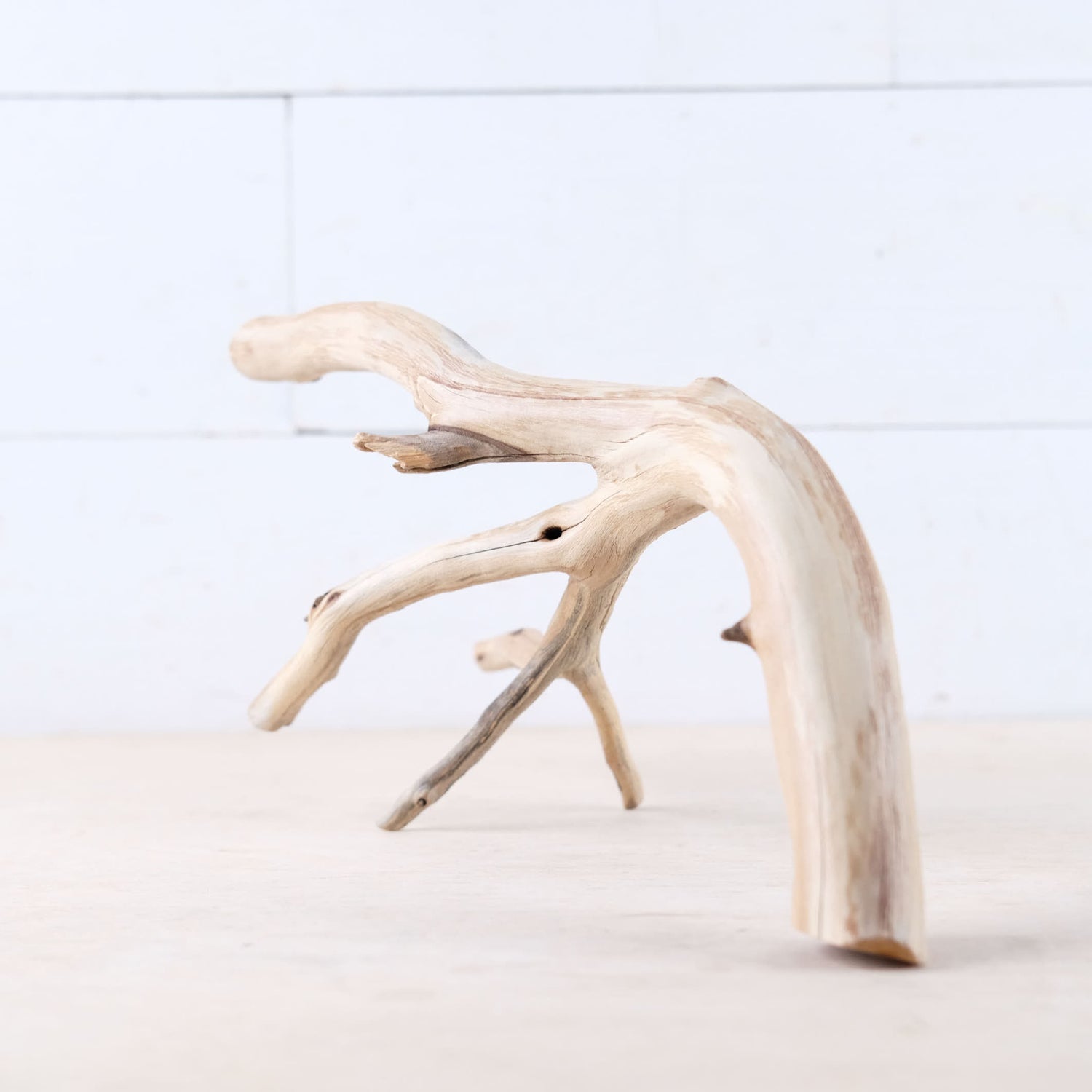 Manzanita 13" Branch, Aquascape Driftwood, Aquarium Wood Centerpiece, Natural Fish Tank Decor, Small Vivarium Branch