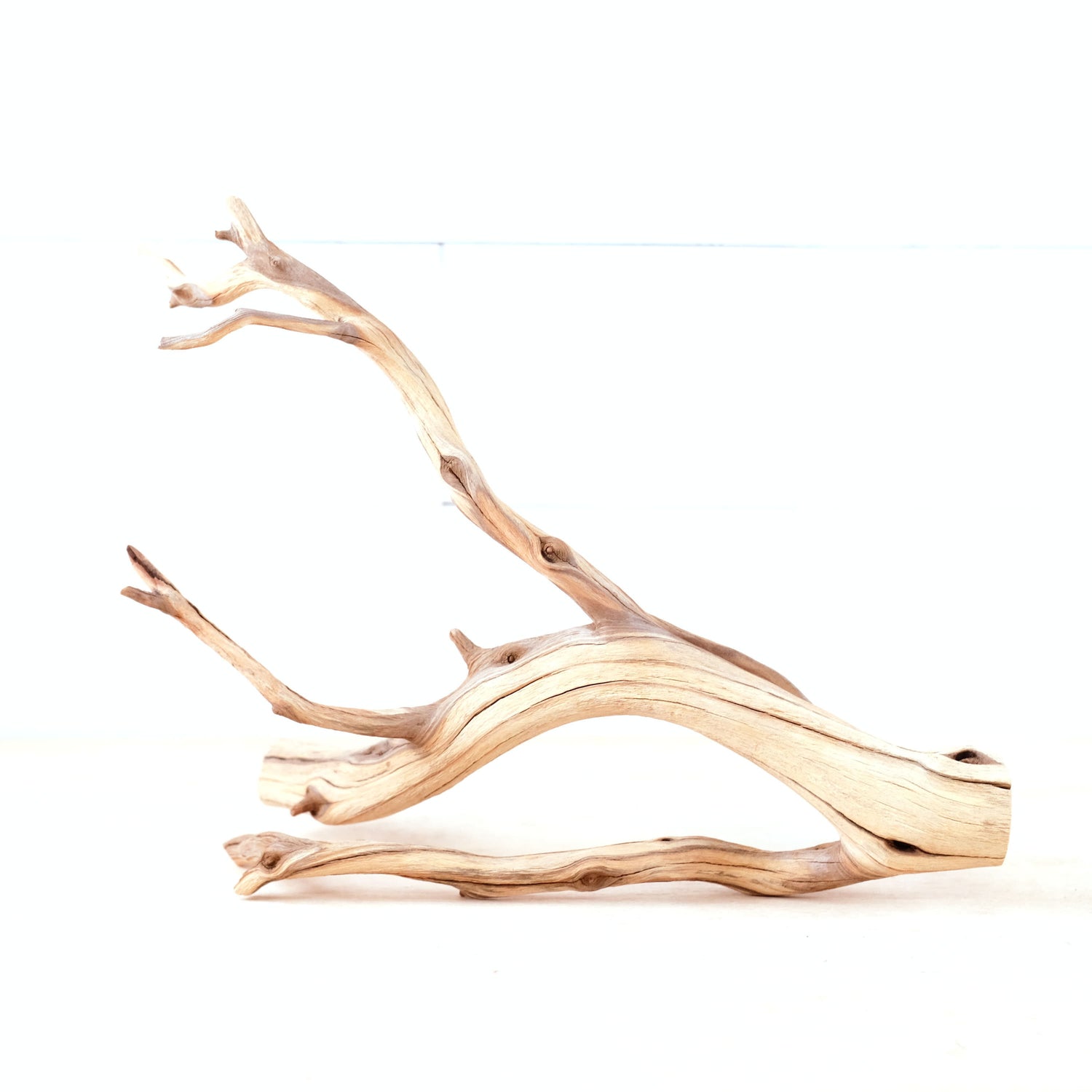 Manzanita 15" Driftwood, Aquarium Aquascape Branch, Natural Fish Tank Decor, Betta Branch, Terrarium Climb