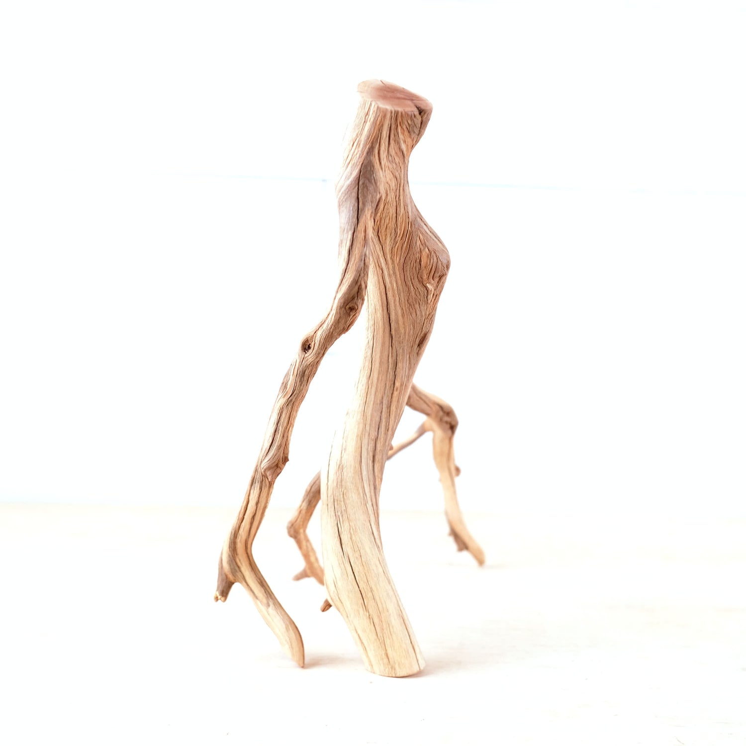 Manzanita 15" Driftwood, Aquarium Aquascape Branch, Natural Fish Tank Decor, Betta Branch, Terrarium Climb