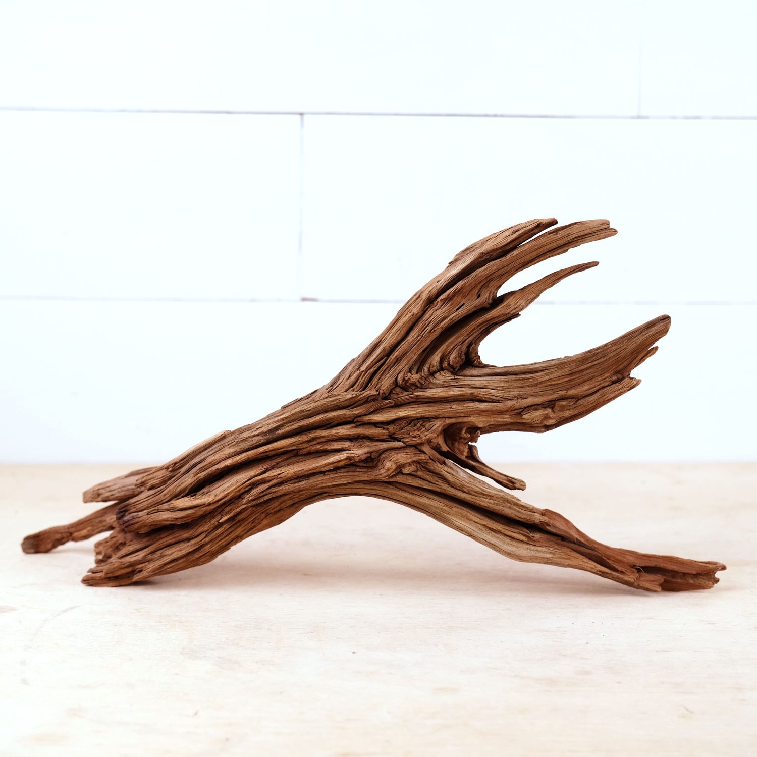 Manzanita 17" Driftwood, Aquarium Aquascape Decor, Natural Fish Tank Branch, Driftwood Shelf Decor, Terrarium Enrichment