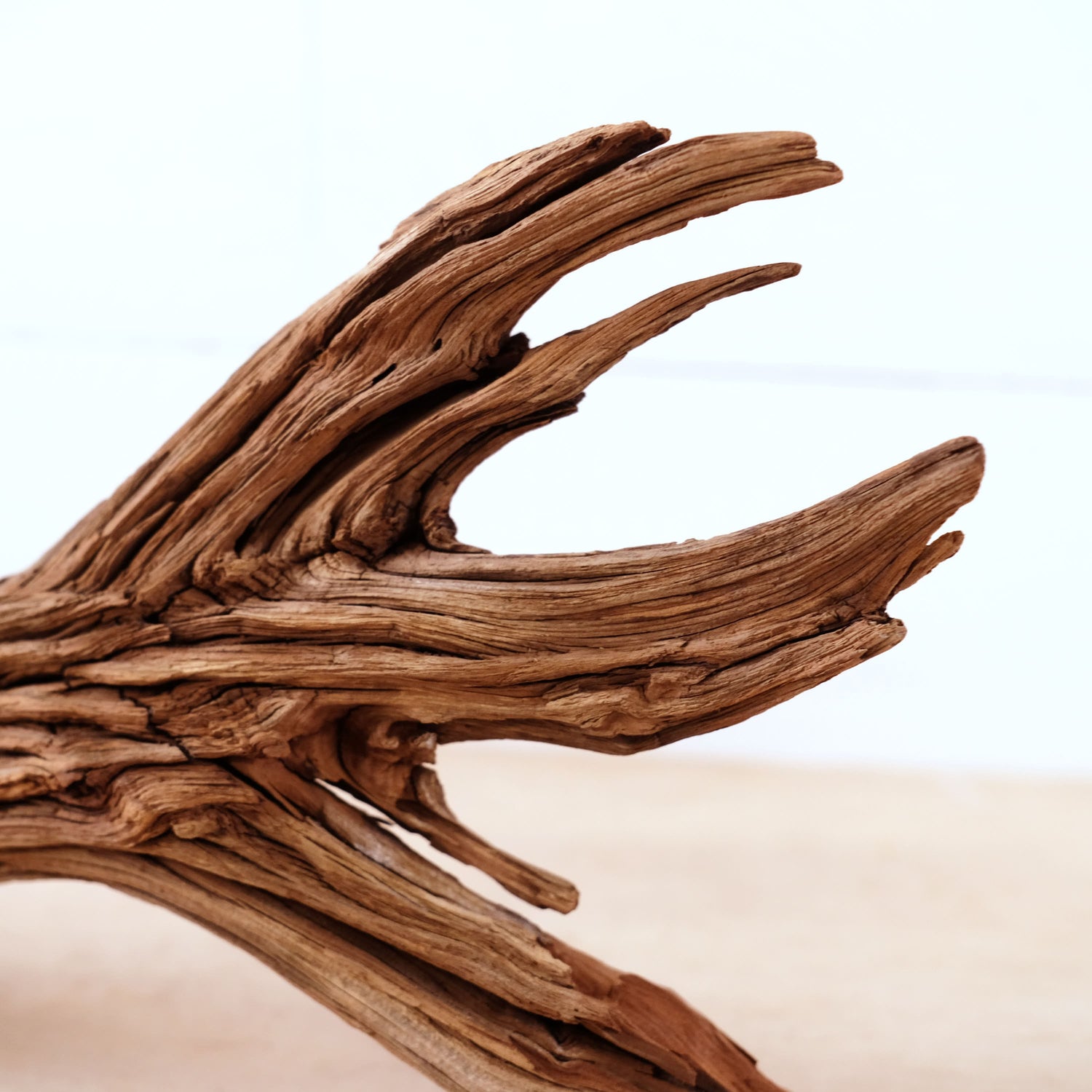 Manzanita 17" Driftwood, Aquarium Aquascape Decor, Natural Fish Tank Branch, Driftwood Shelf Decor, Terrarium Enrichment