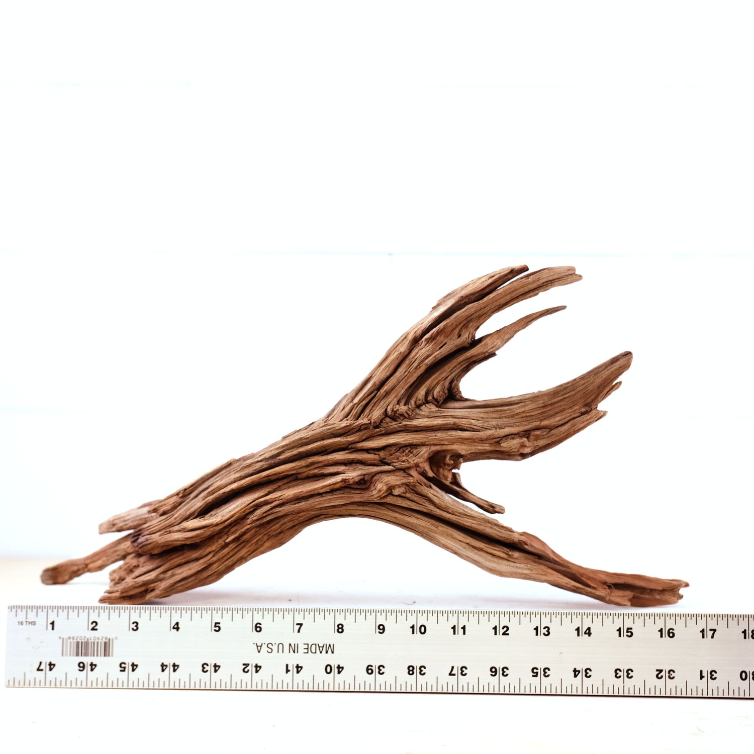 Manzanita 17" Driftwood, Aquarium Aquascape Decor, Natural Fish Tank Branch, Driftwood Shelf Decor, Terrarium Enrichment