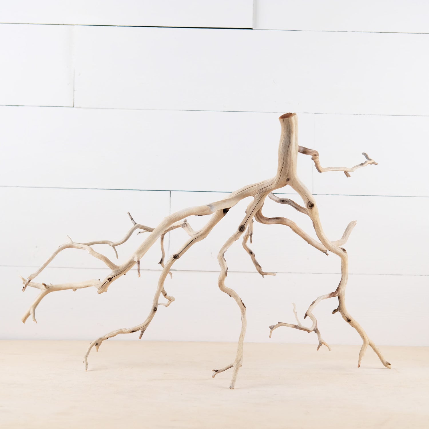 Manzanita 22" Branch, Aquascape Driftwood, Aquarium Wood Centerpiece, Natural Fish Tank Decor, Natural Decor Branch