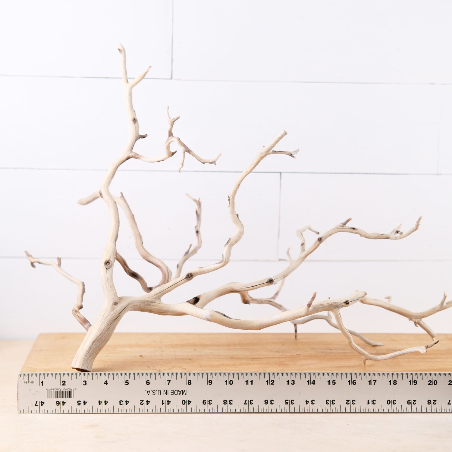 Manzanita 22" Branch, Aquascape Driftwood, Aquarium Wood Centerpiece, Natural Fish Tank Decor, Natural Decor Branch