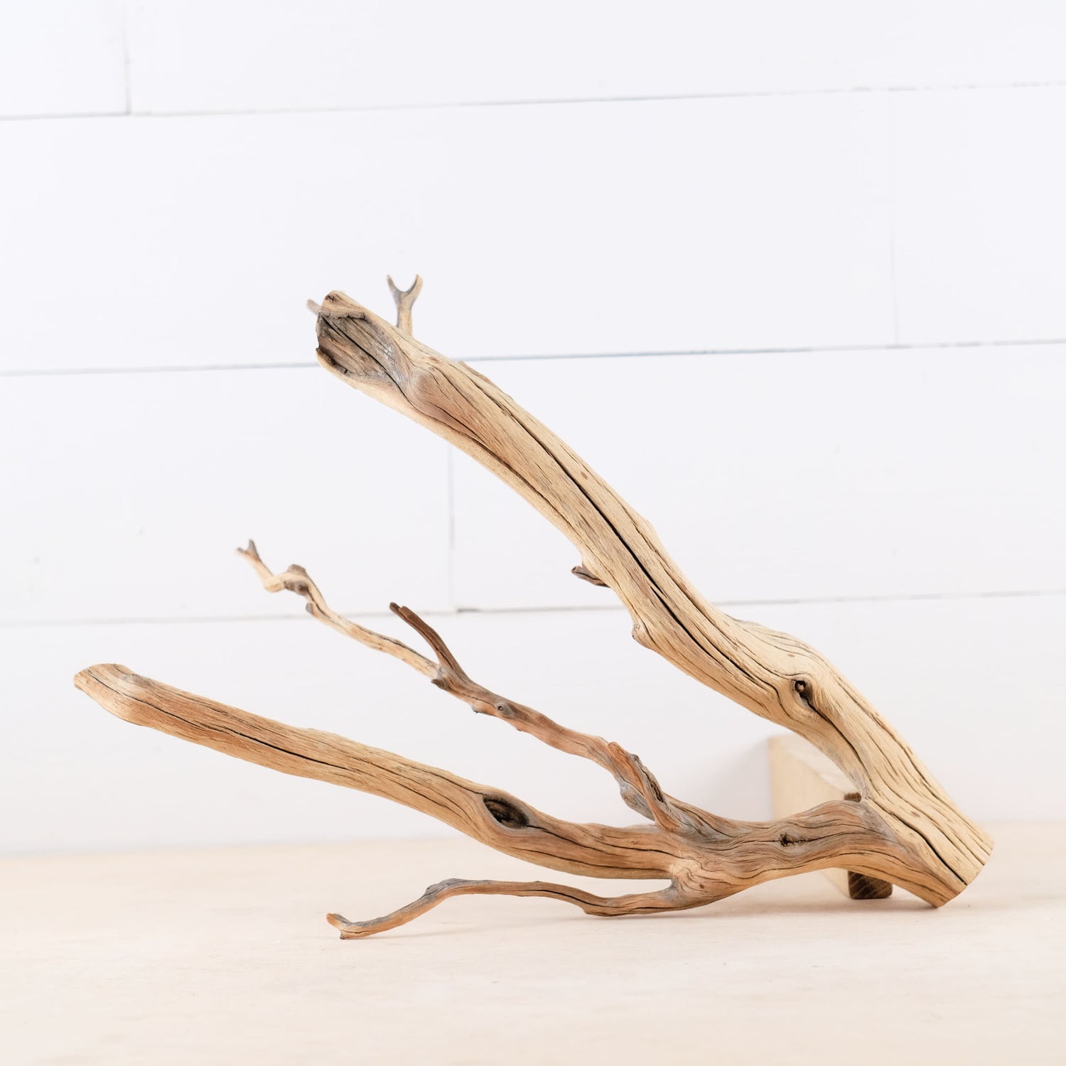 Manzanita 15" Branch, Aquascape Driftwood, Aquarium Wood Centerpiece, Natural Fish Tank Decor, Reptile Terrarium Climb