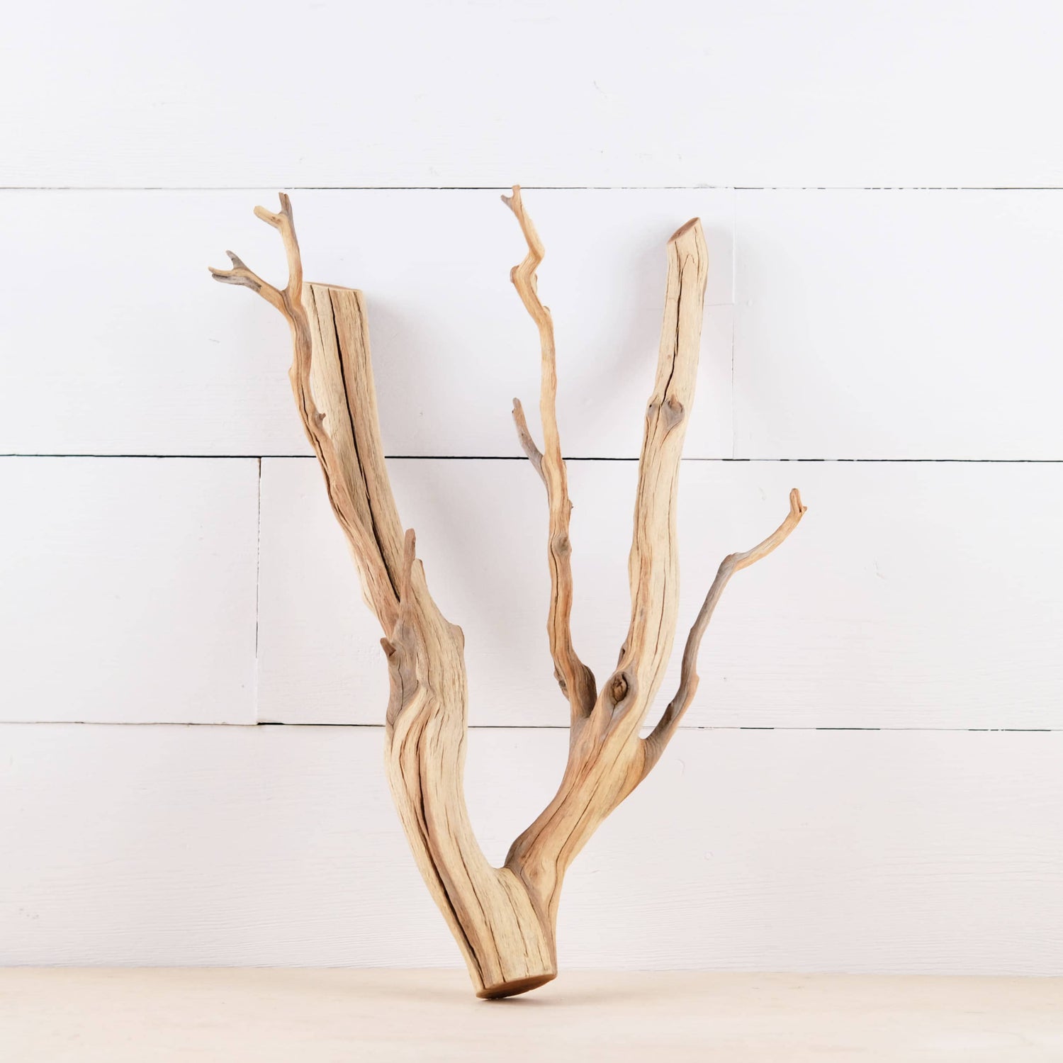 Manzanita 15" Branch, Aquascape Driftwood, Aquarium Wood Centerpiece, Natural Fish Tank Decor, Reptile Terrarium Climb